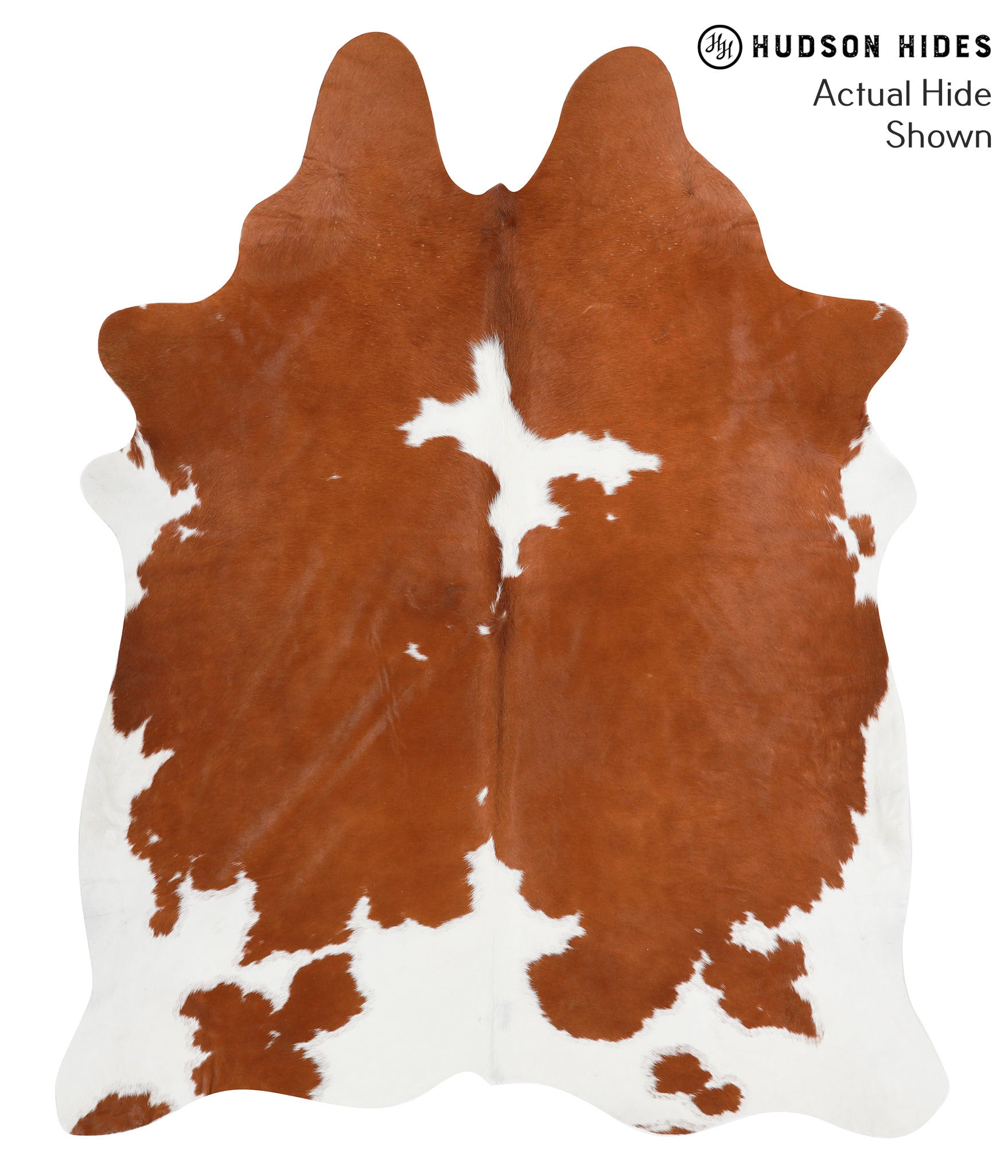 Brown and White Cowhide Rug #38856
