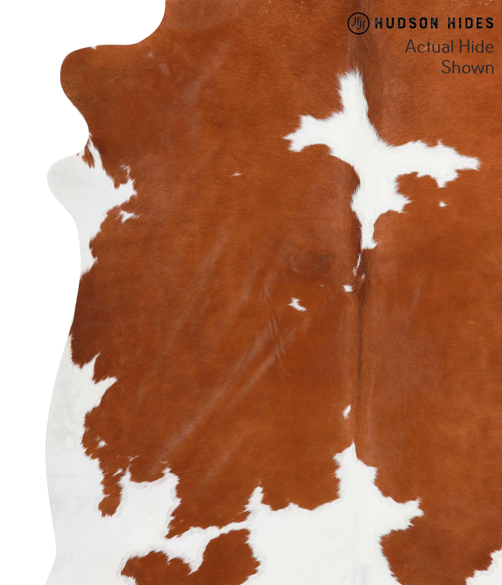 Brown and White Cowhide Rug #38856