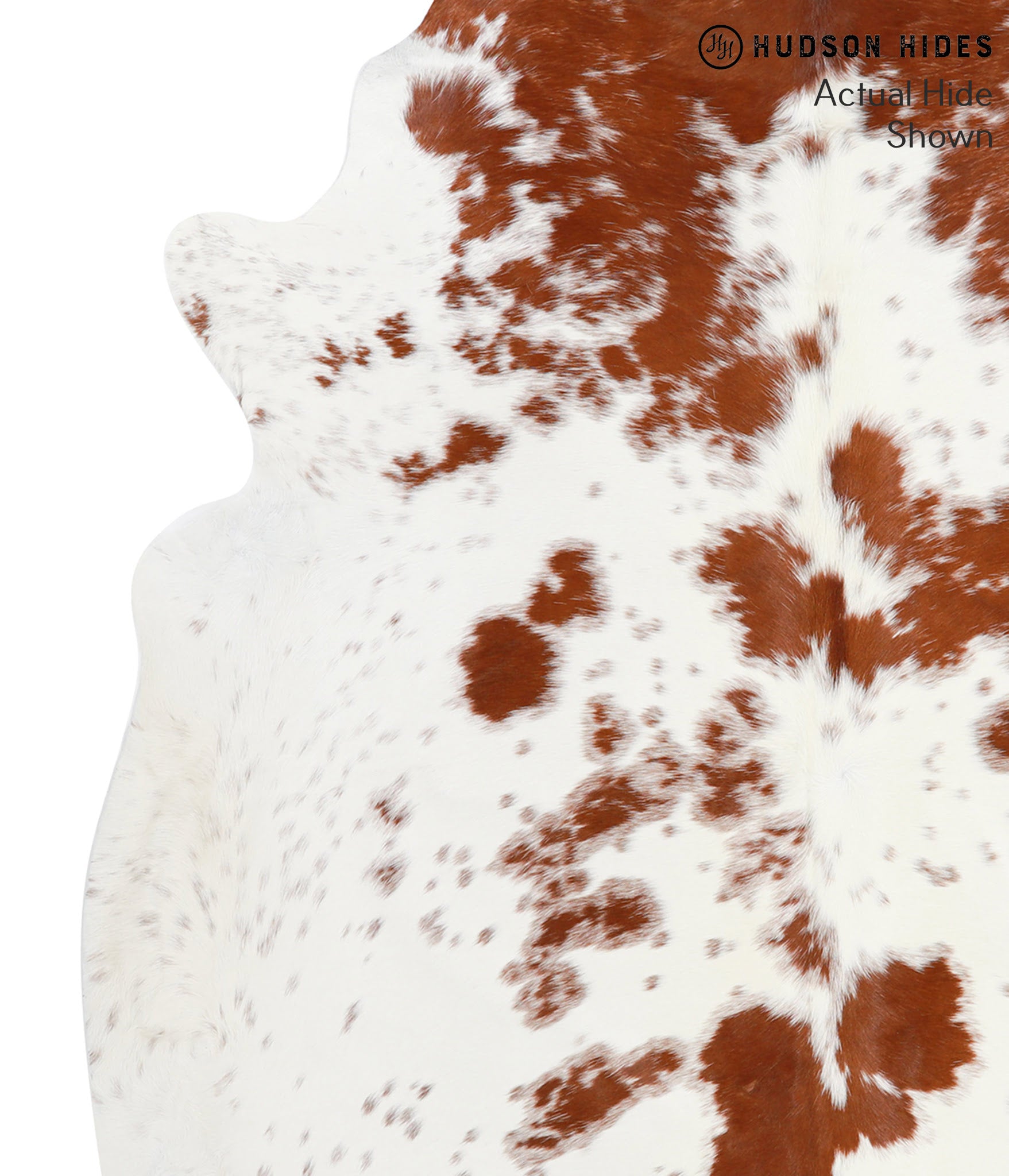 Brown and White Cowhide Rug #38883