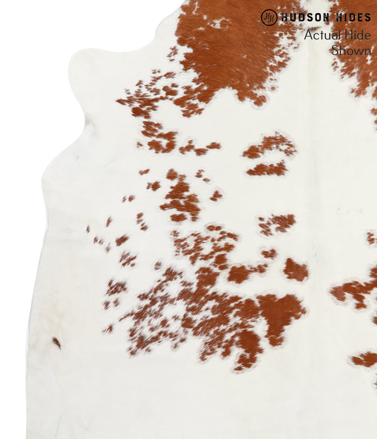 Brown and White X-Large Brazilian Cowhide Rug 7'1"H x 6'9"W #38887 by Hudson Hides