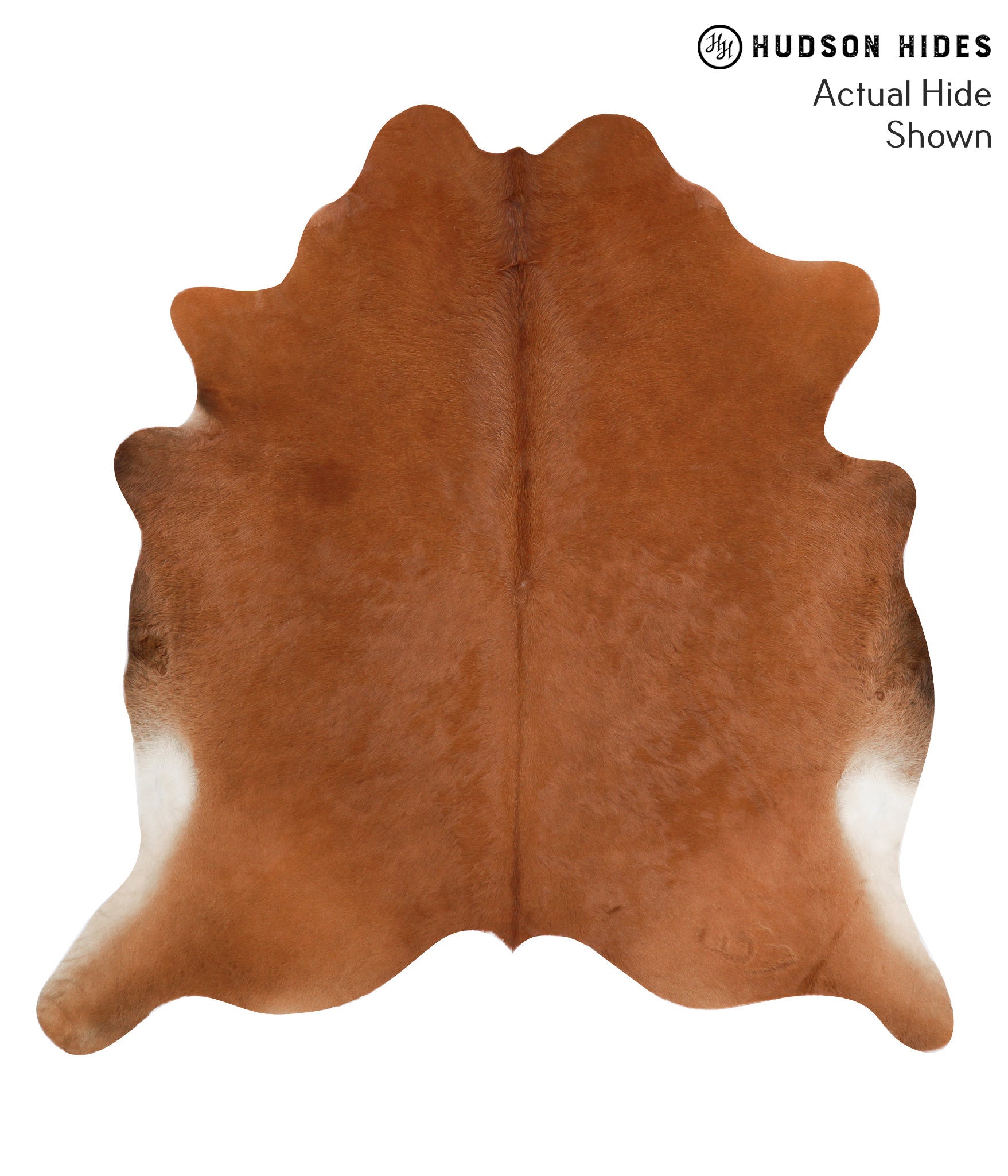 Solid Brown Cowhide Rug #38901