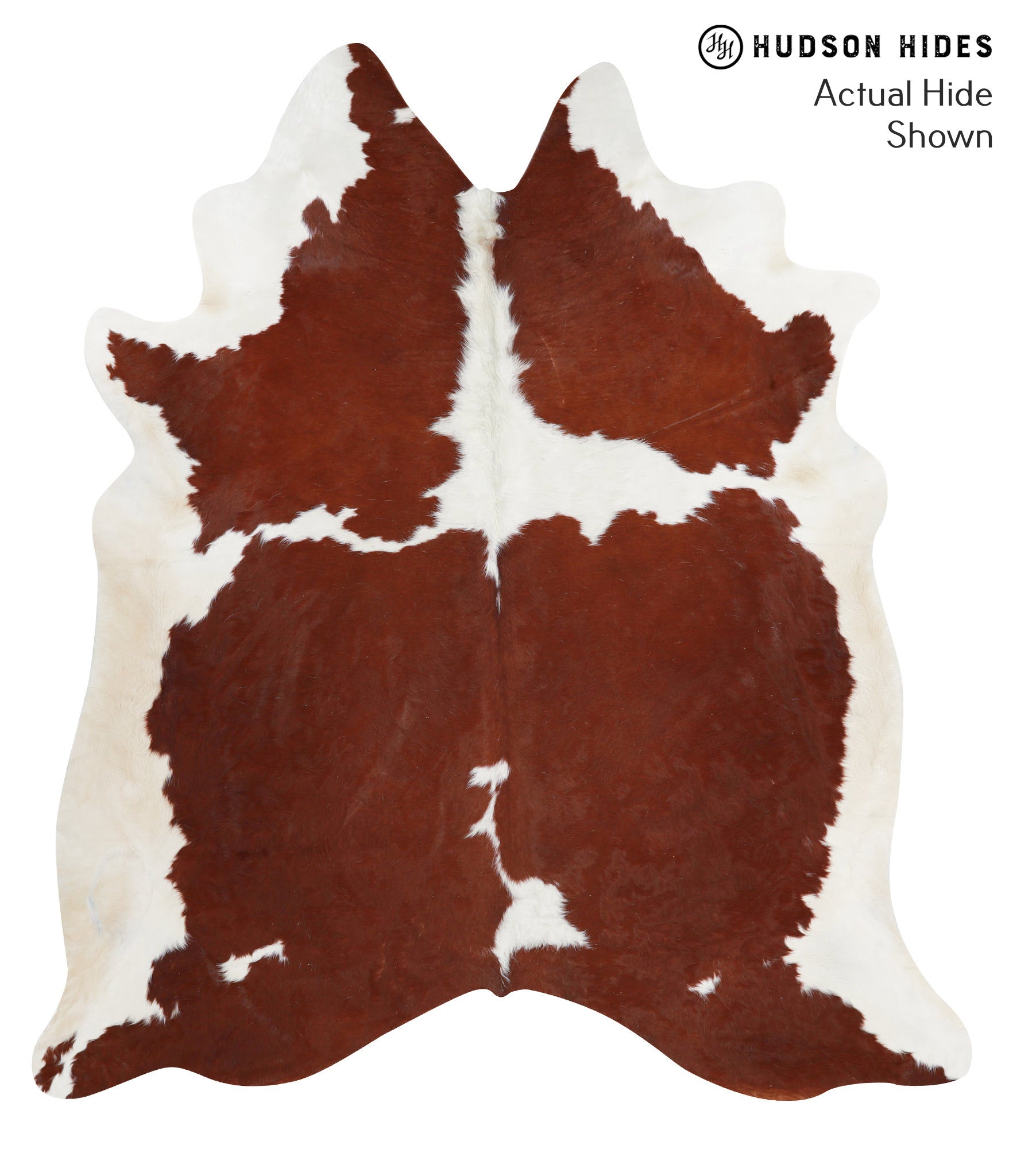 Brown and White Cowhide Rug #38908