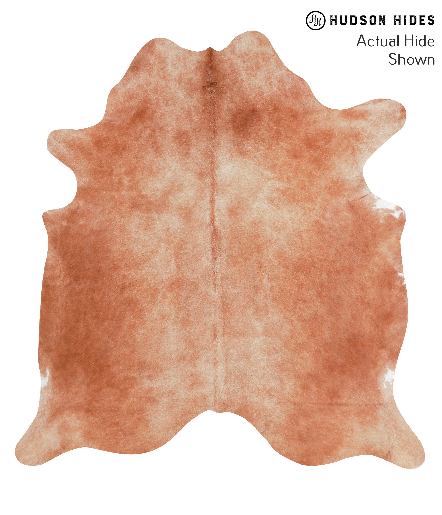 Caramel Cowhide Rug #38921