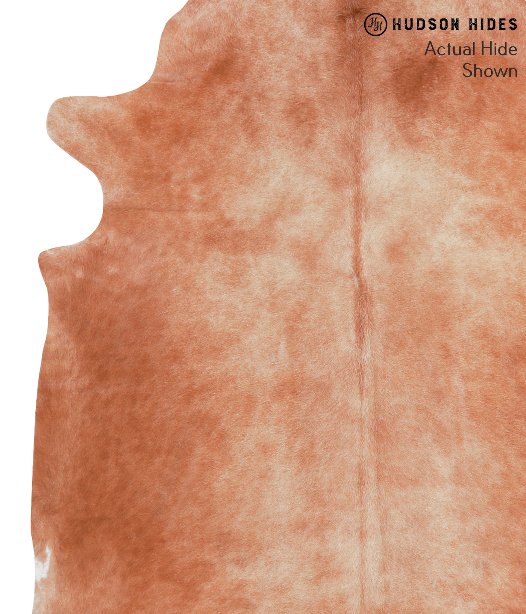 Caramel Cowhide Rug #38921
