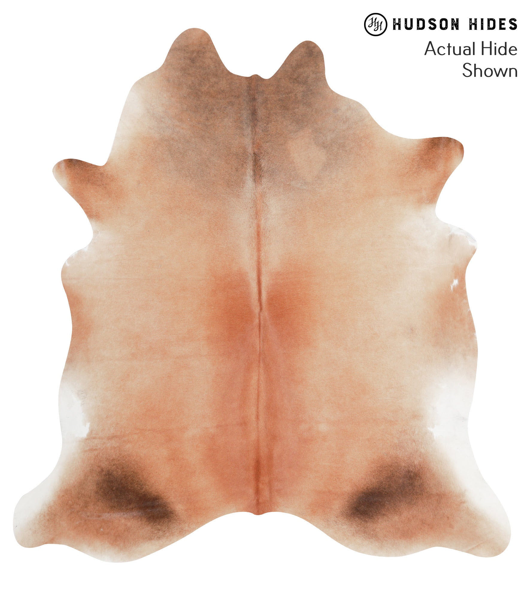 Caramel Cowhide Rug #38935
