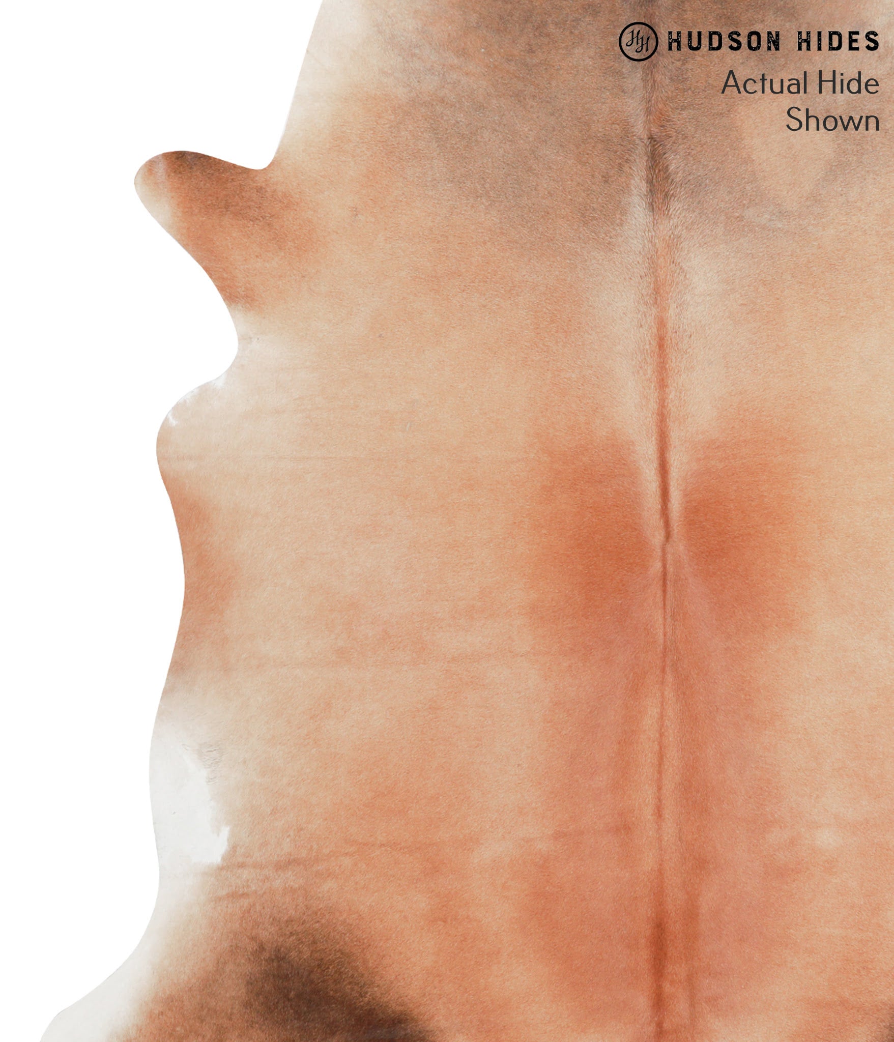 Caramel Cowhide Rug #38935
