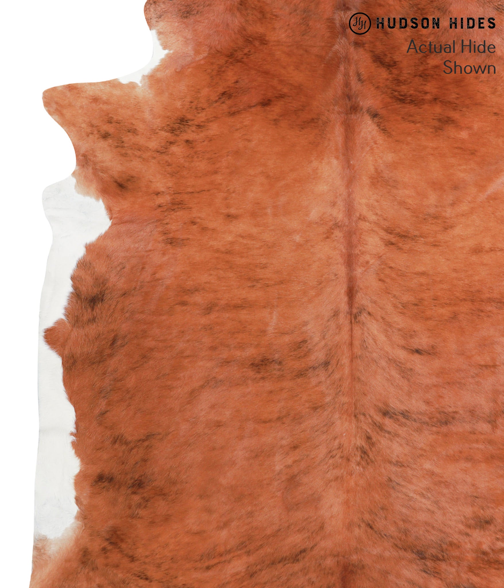 Medium Brindle Cowhide Rug #38992