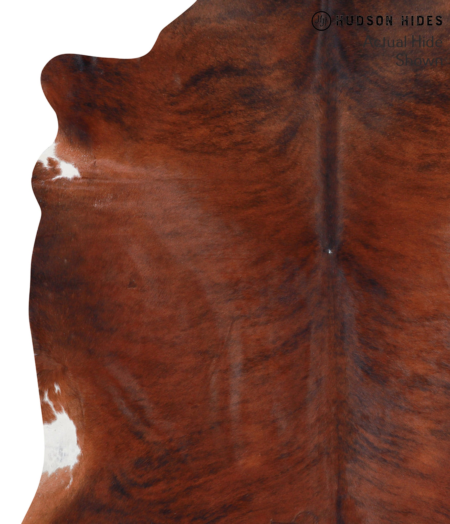 Medium Brindle Cowhide Rug #38999