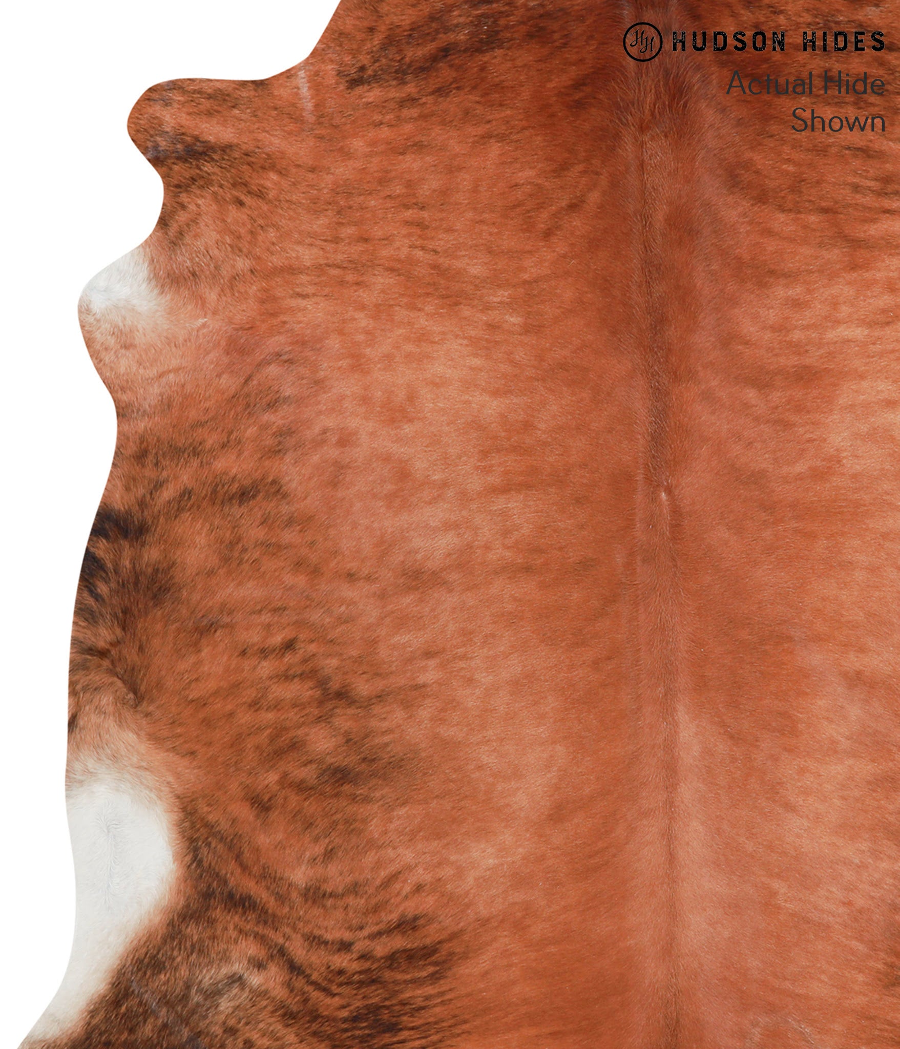 Medium Brindle Cowhide Rug #39015