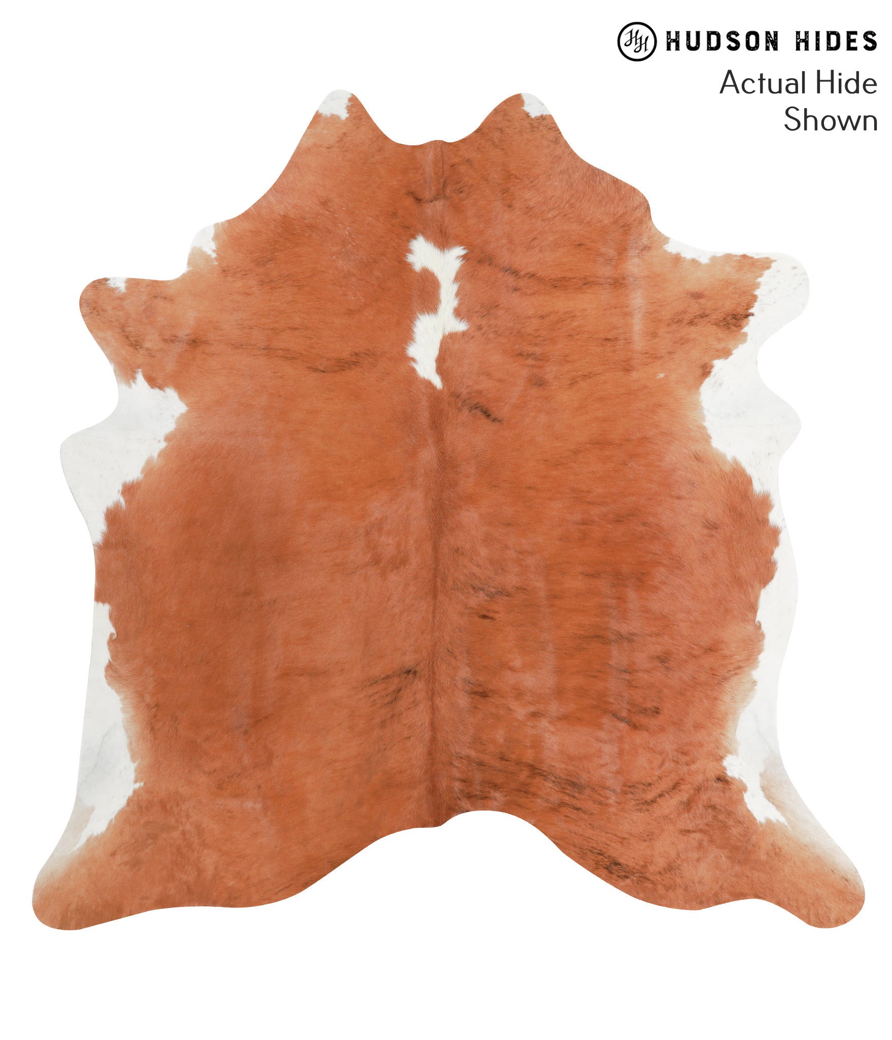 Brown and White Regular Cowhide Rug #39046