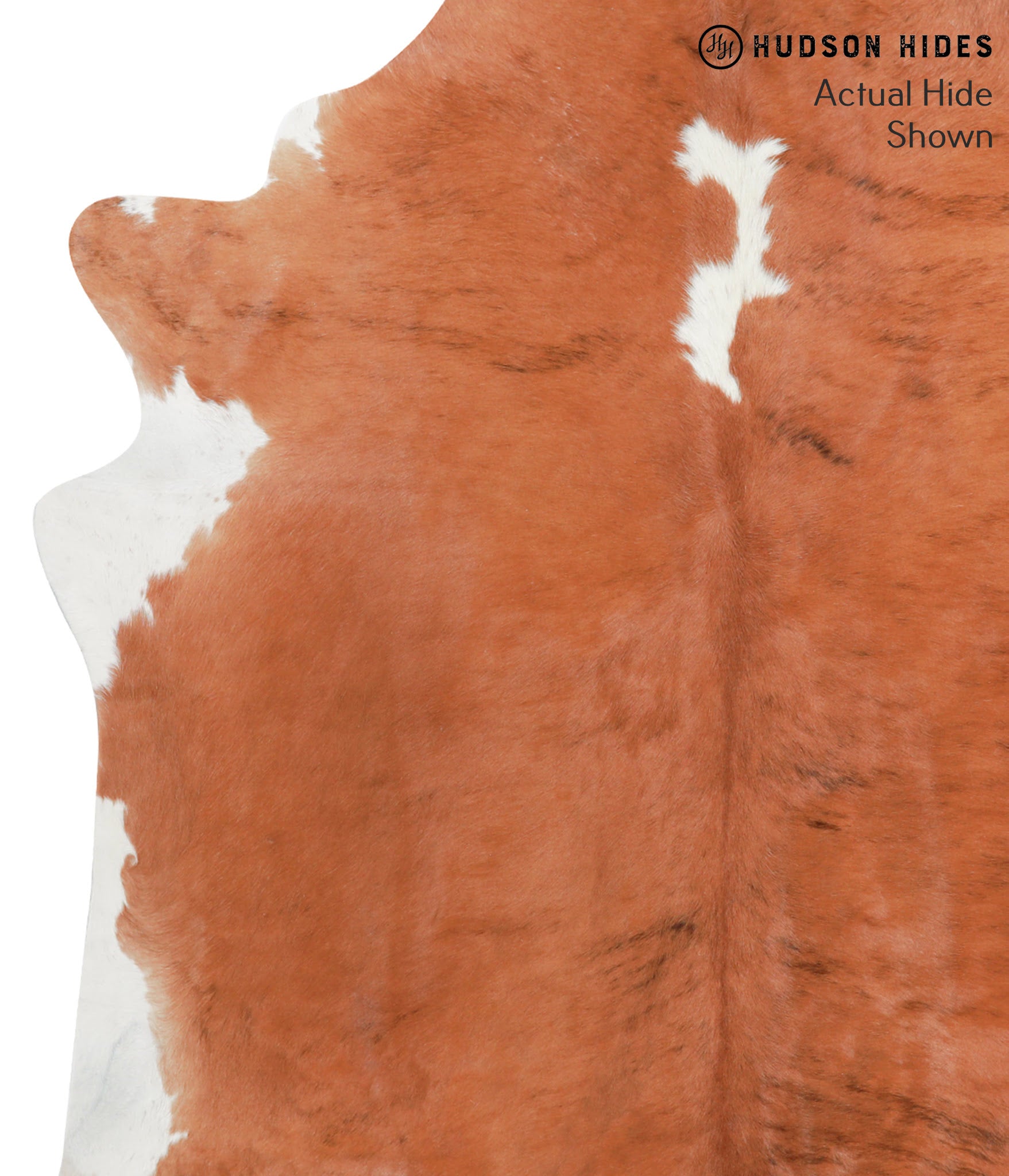 Brown and White Regular Cowhide Rug #39046