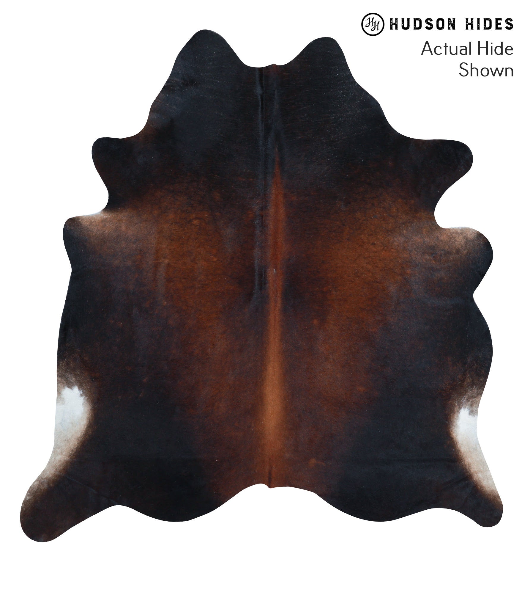 Chocolate and White Cowhide Rug #39078
