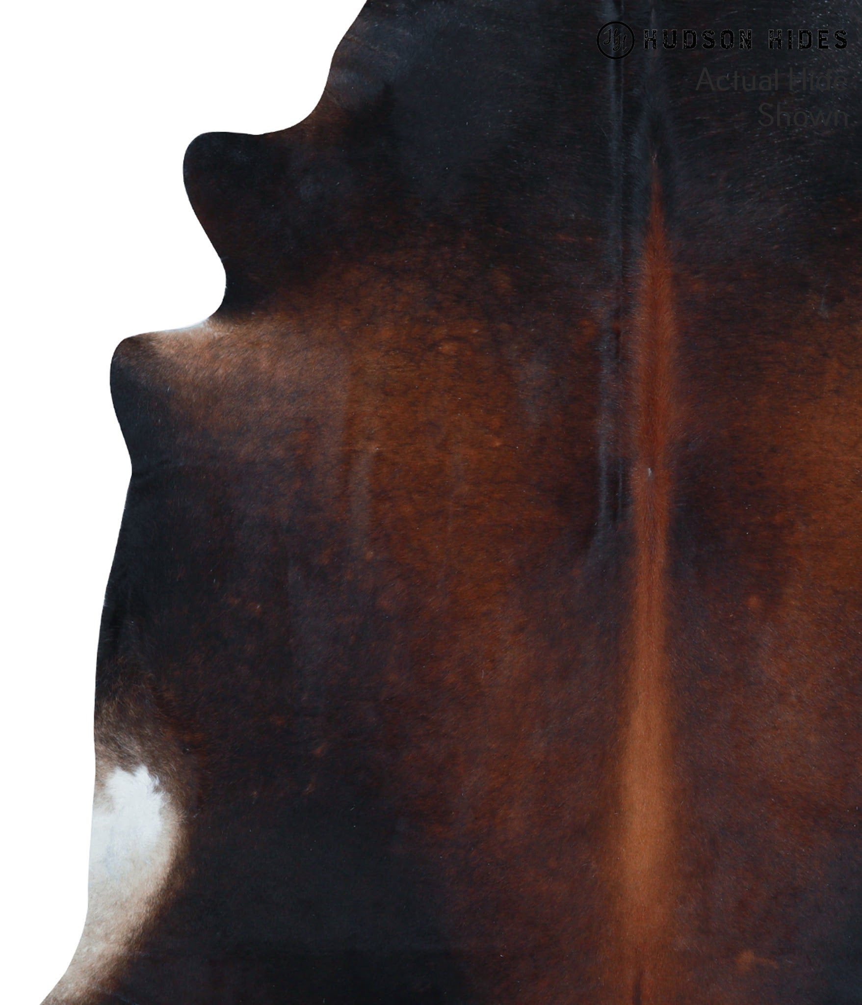 Chocolate and White Cowhide Rug #39078