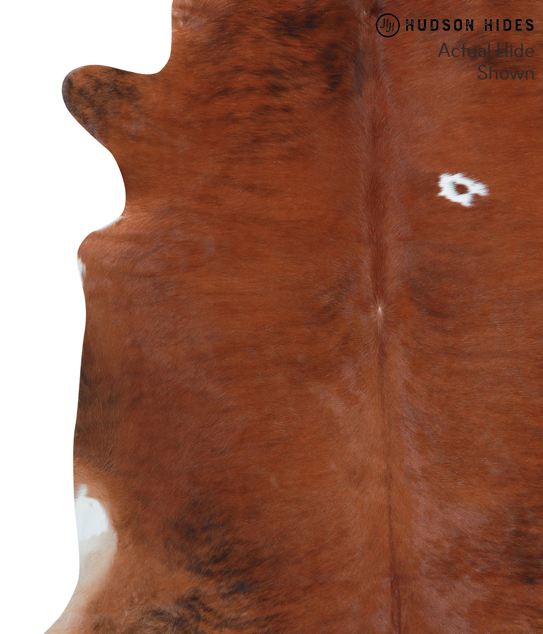 Medium Brindle Cowhide Rug #39082