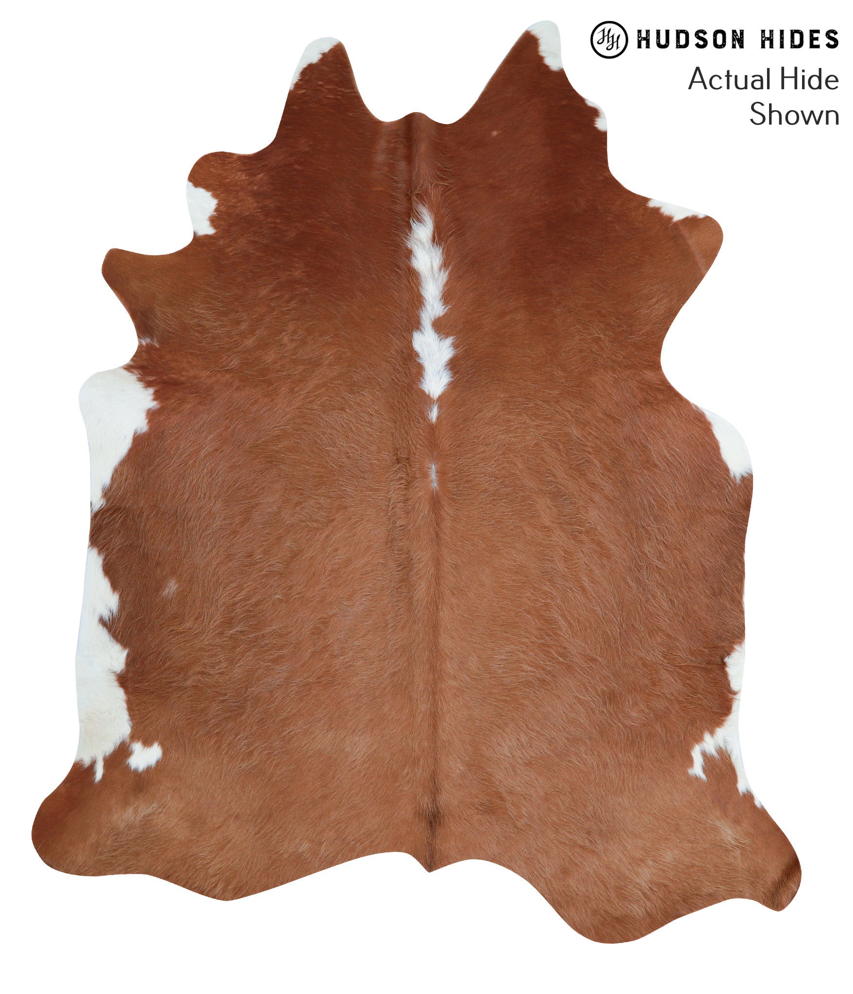 Brown and White Regular Cowhide Rug #39085