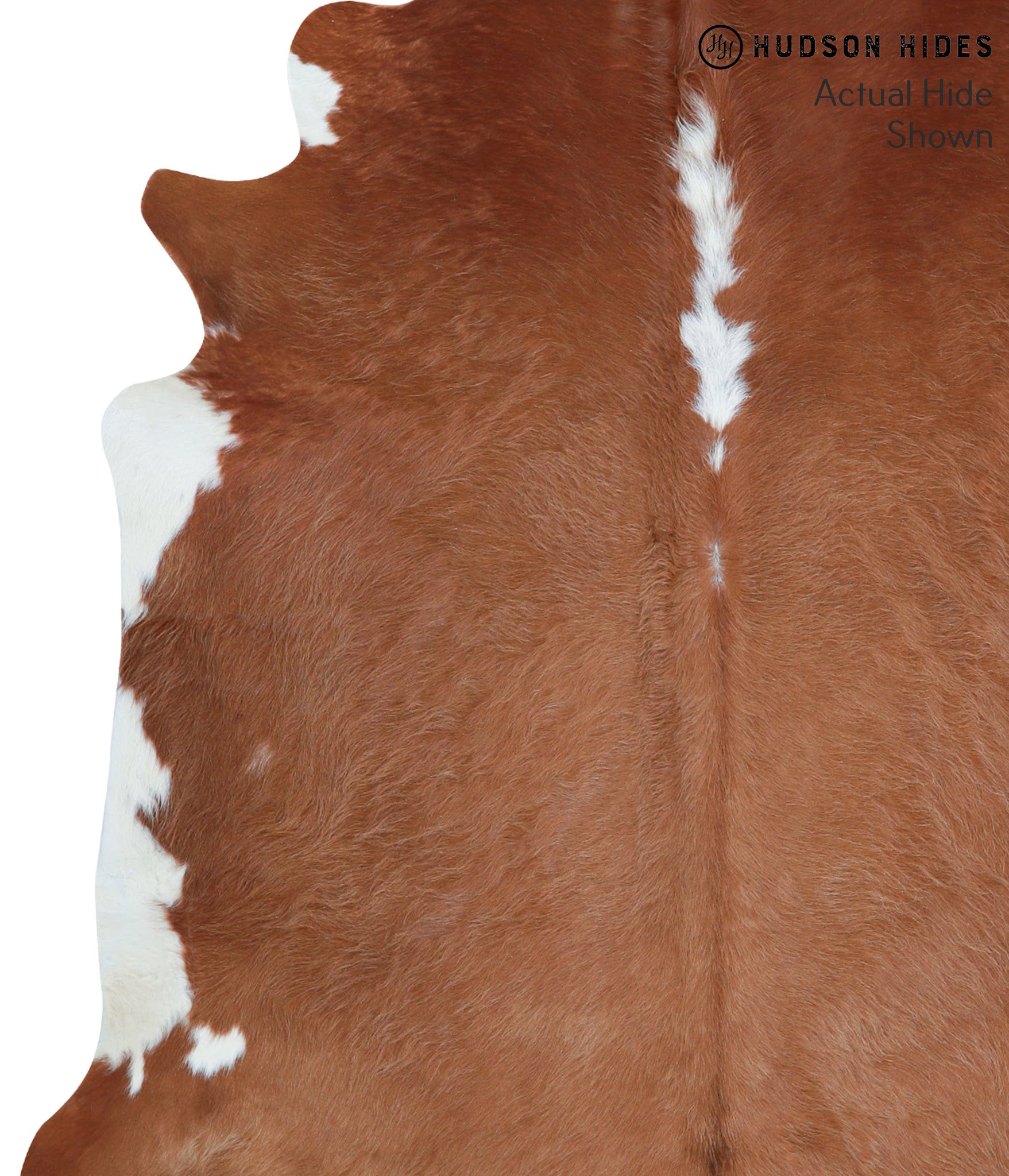 Brown and White Regular Cowhide Rug #39085