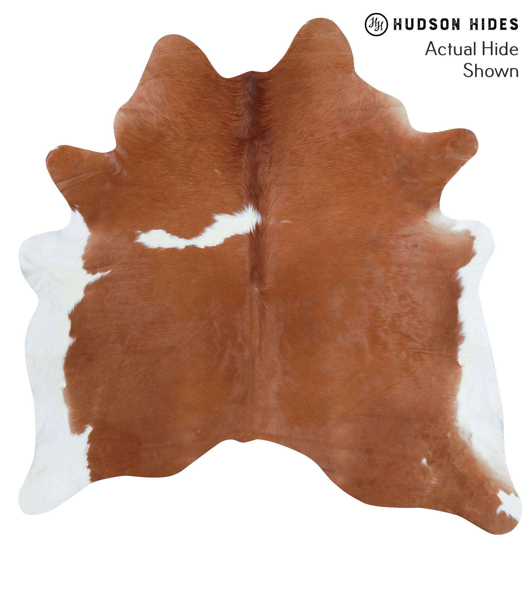 Brown and White Regular Cowhide Rug #39094