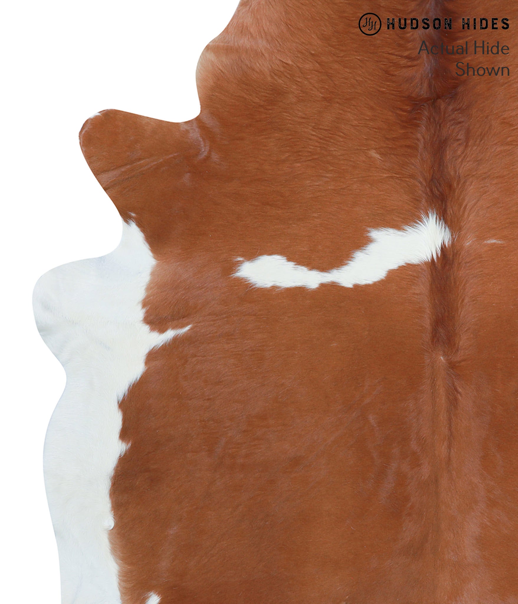 Brown and White Regular Cowhide Rug #39094