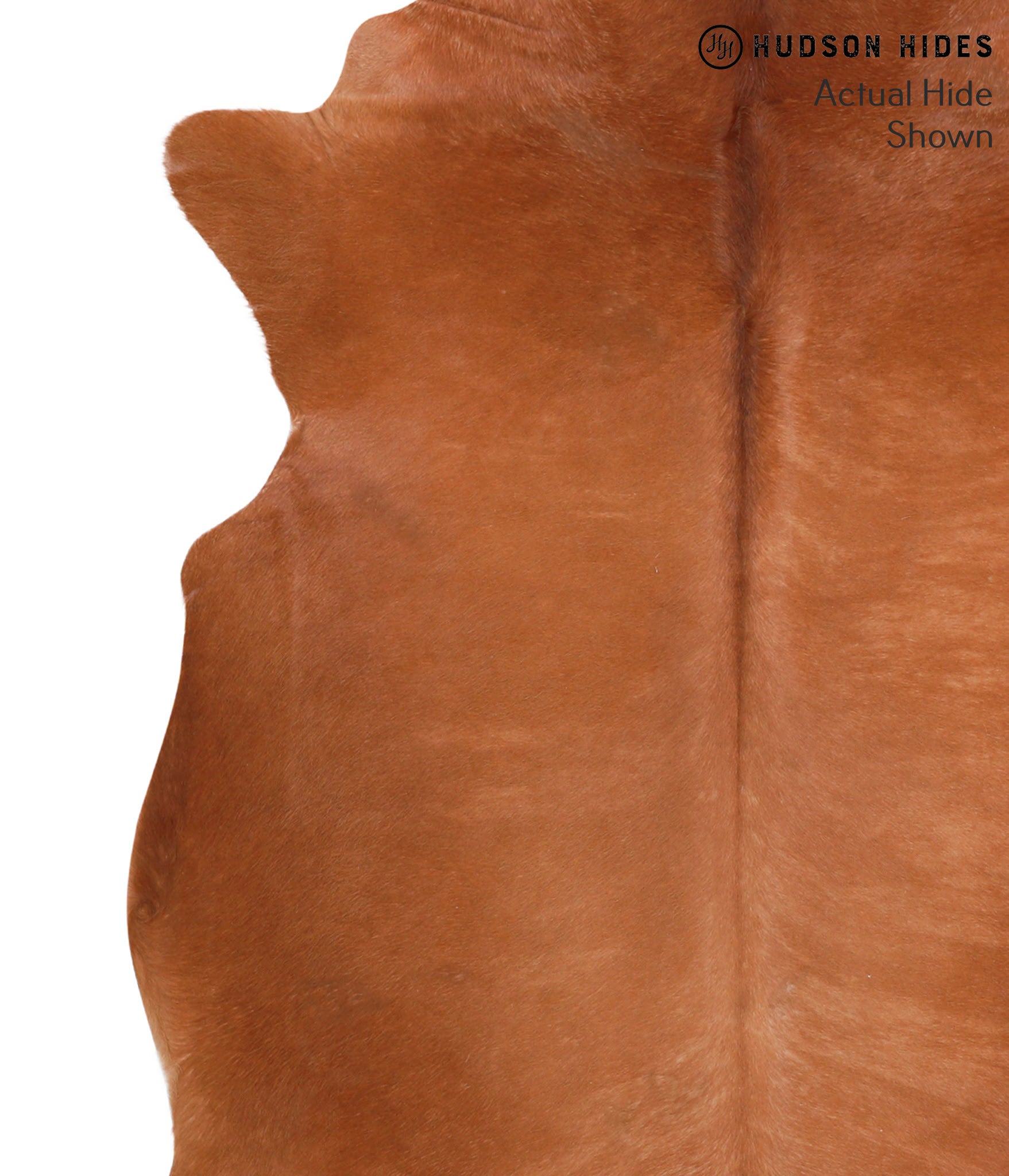 Solid Brown Cowhide Rug #39108