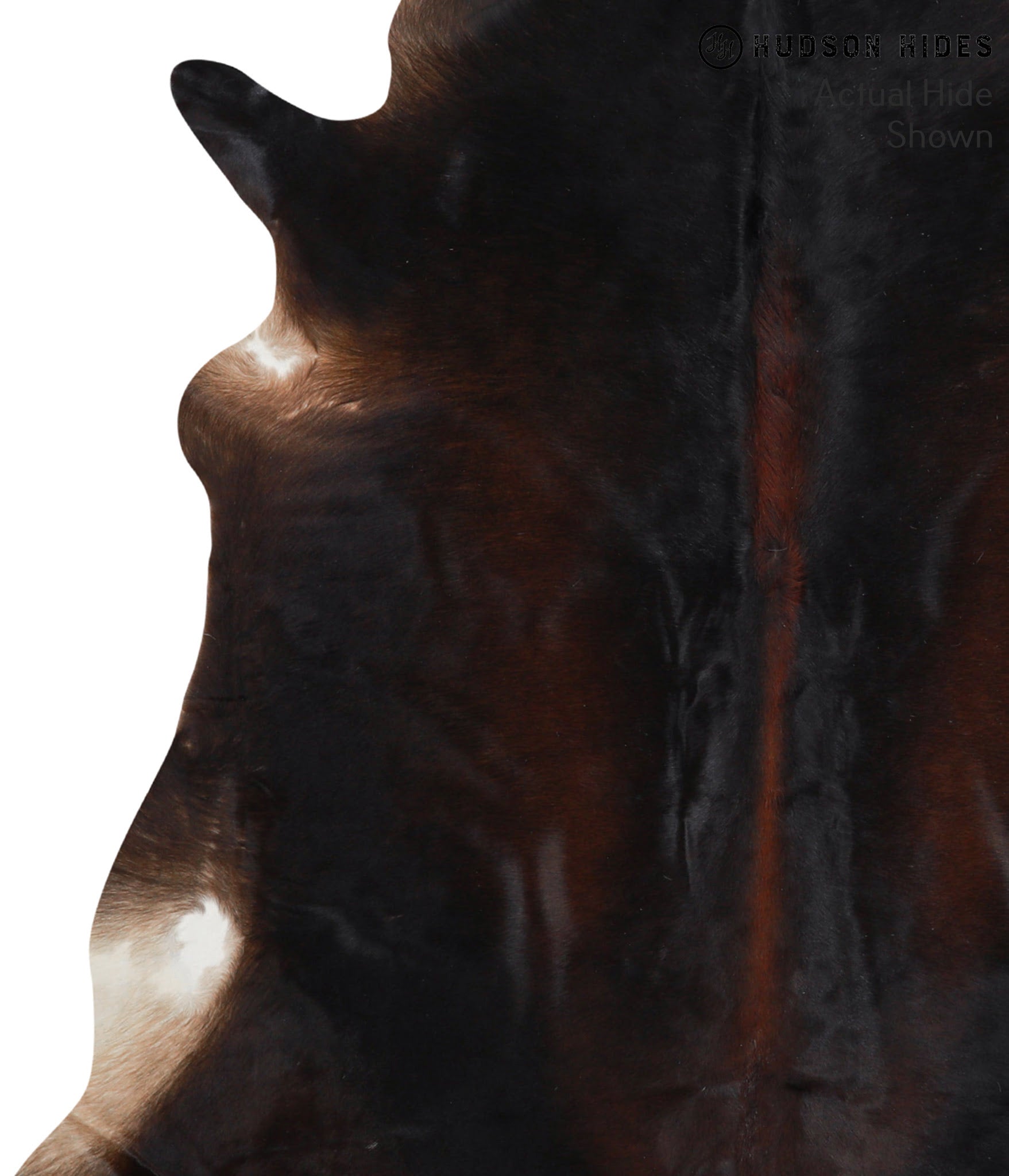 Chocolate Cowhide Rug #39116