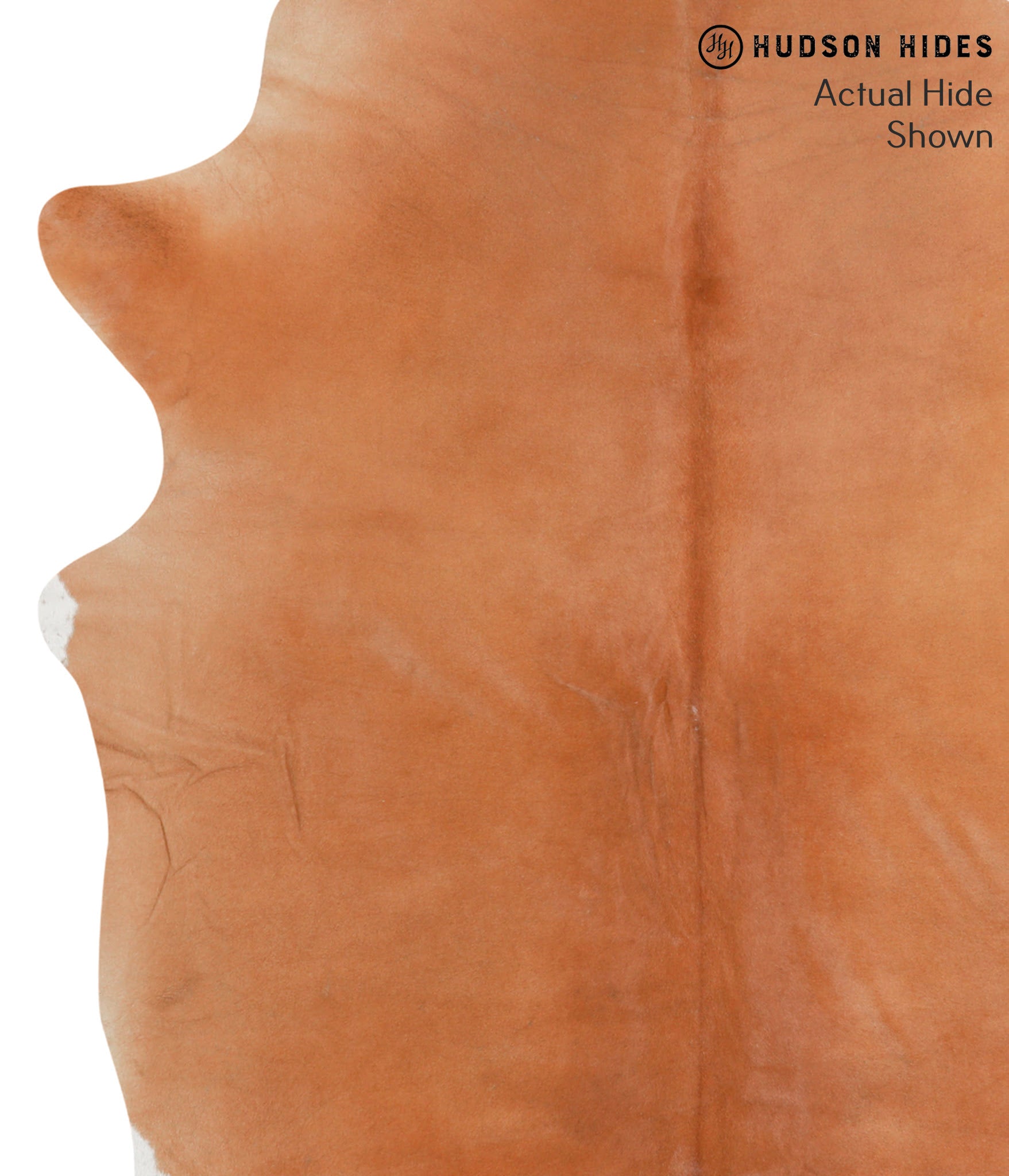 Solid Brown Cowhide Rug #39144