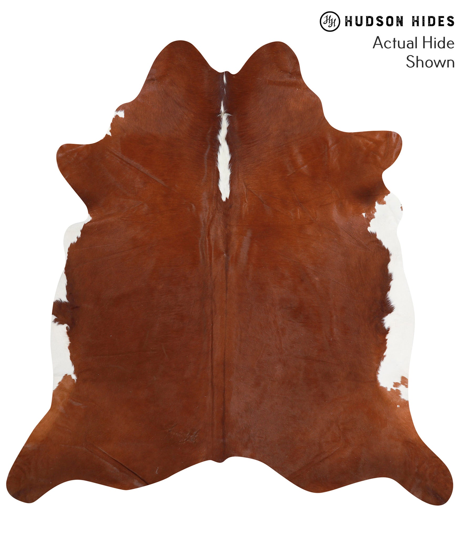 Brown and White Regular Cowhide Rug #39163