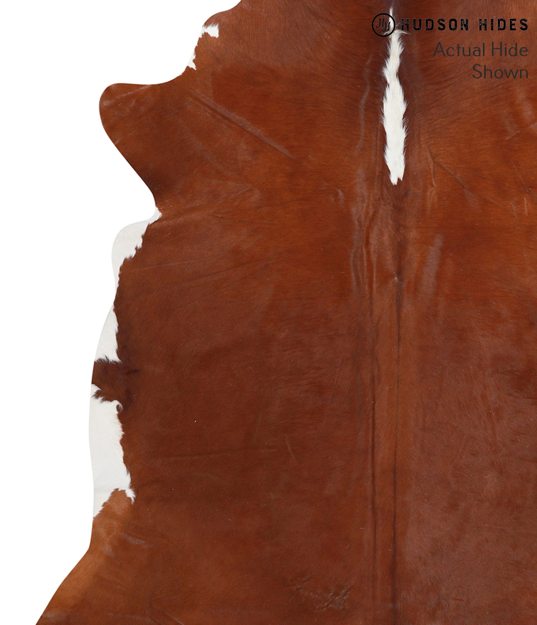 Brown and White Regular Cowhide Rug #39163