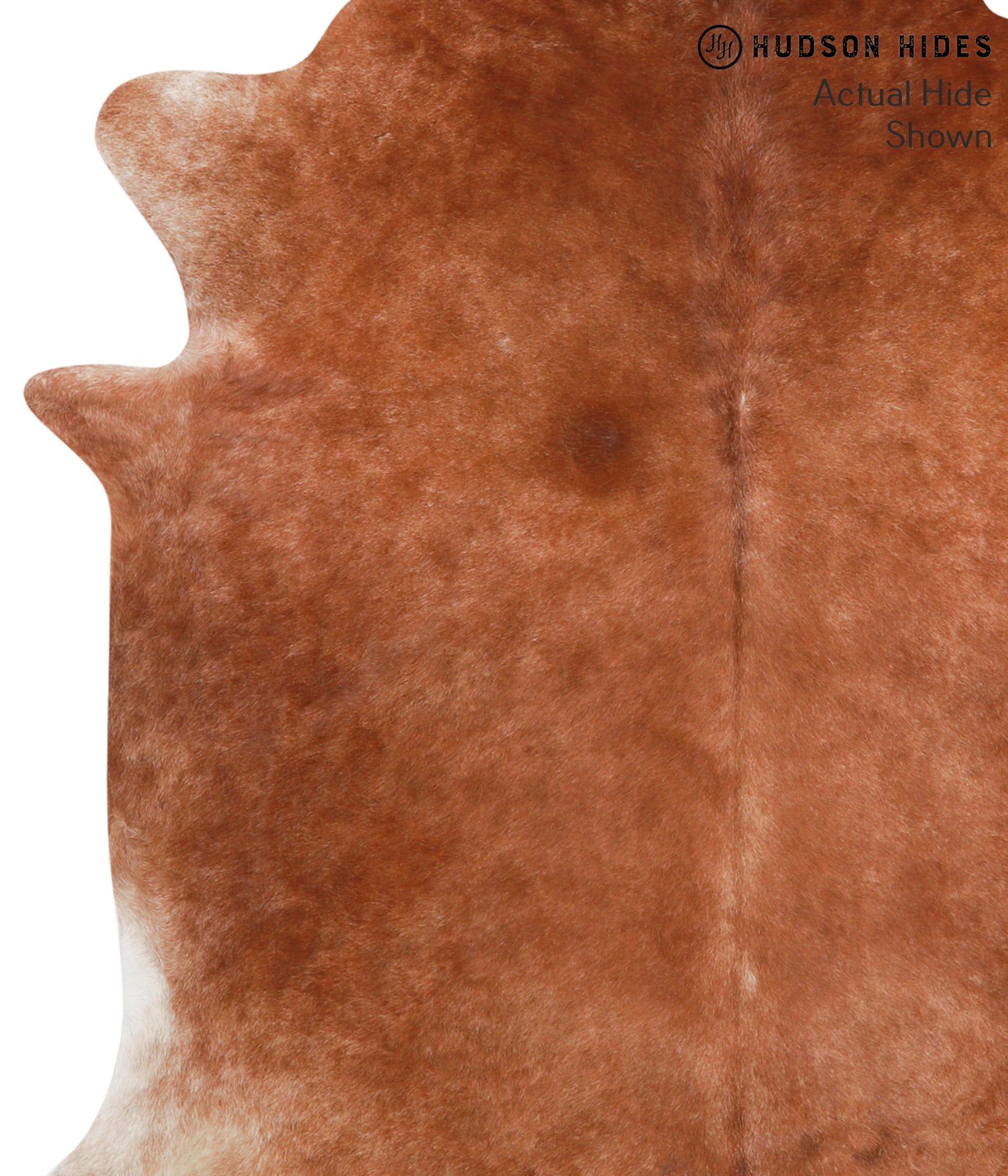 Caramel Cowhide Rug #39175