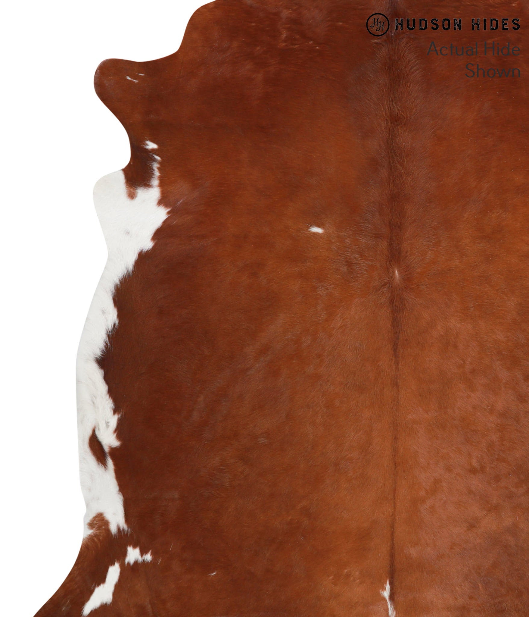 Brown and White Regular Cowhide Rug #39180