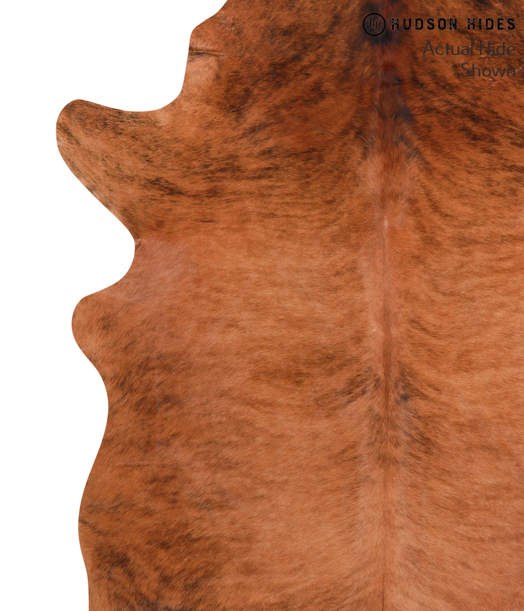 Medium Brindle Cowhide Rug #39212