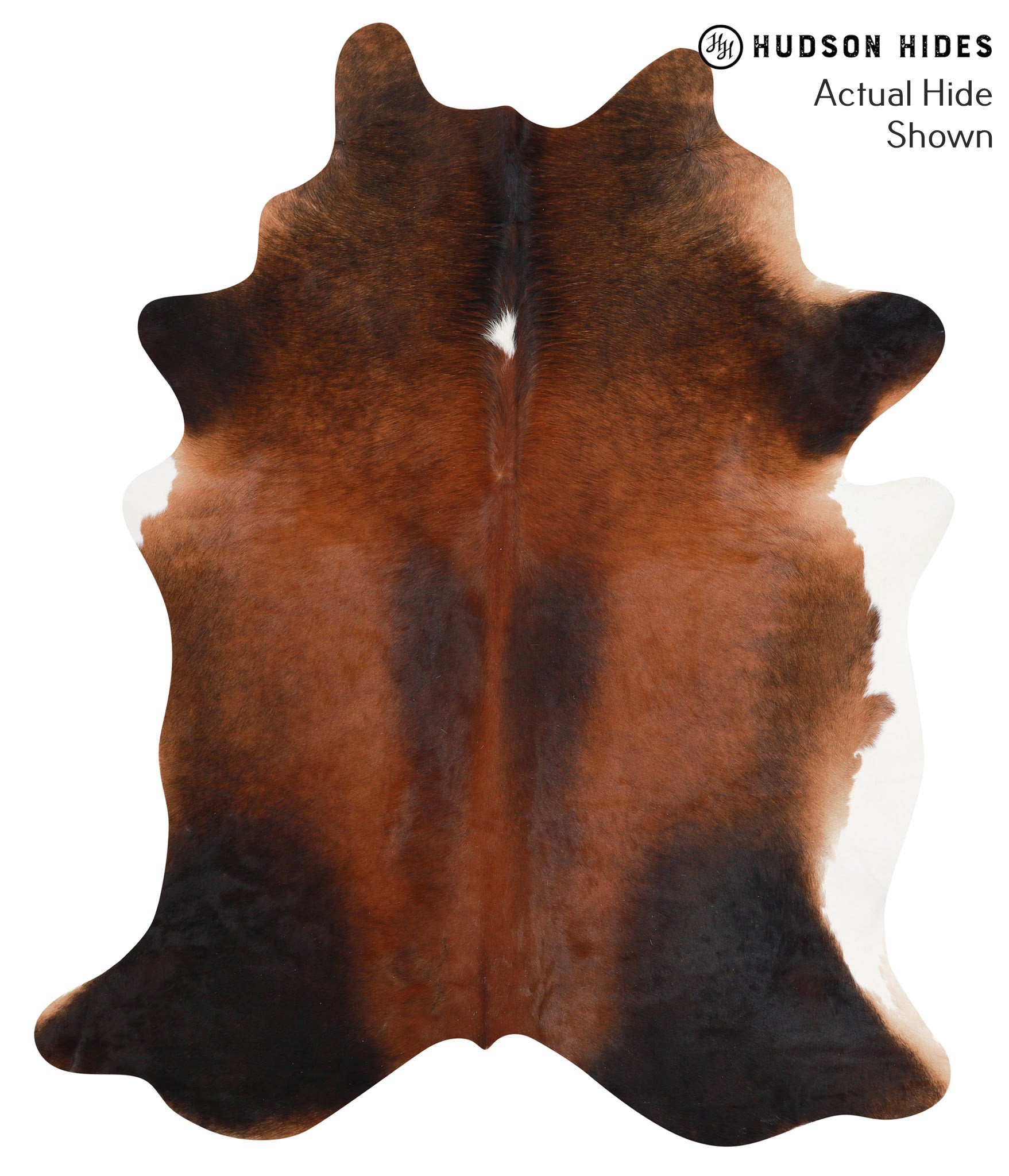 Brown with Red Cowhide Rug #39217