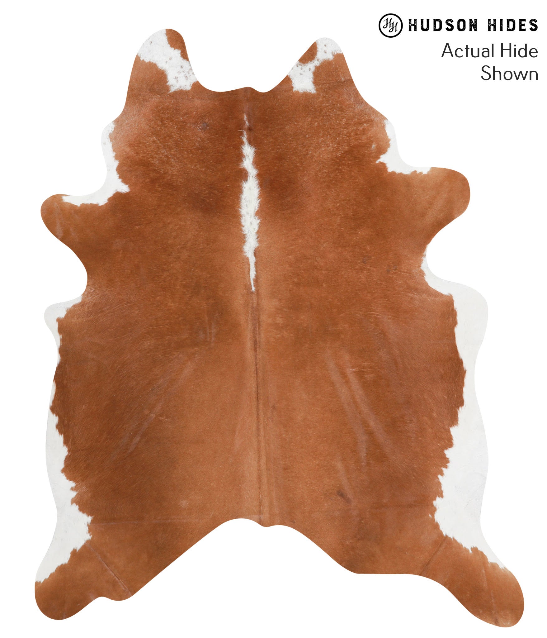 Brown and White Regular Cowhide Rug #39230