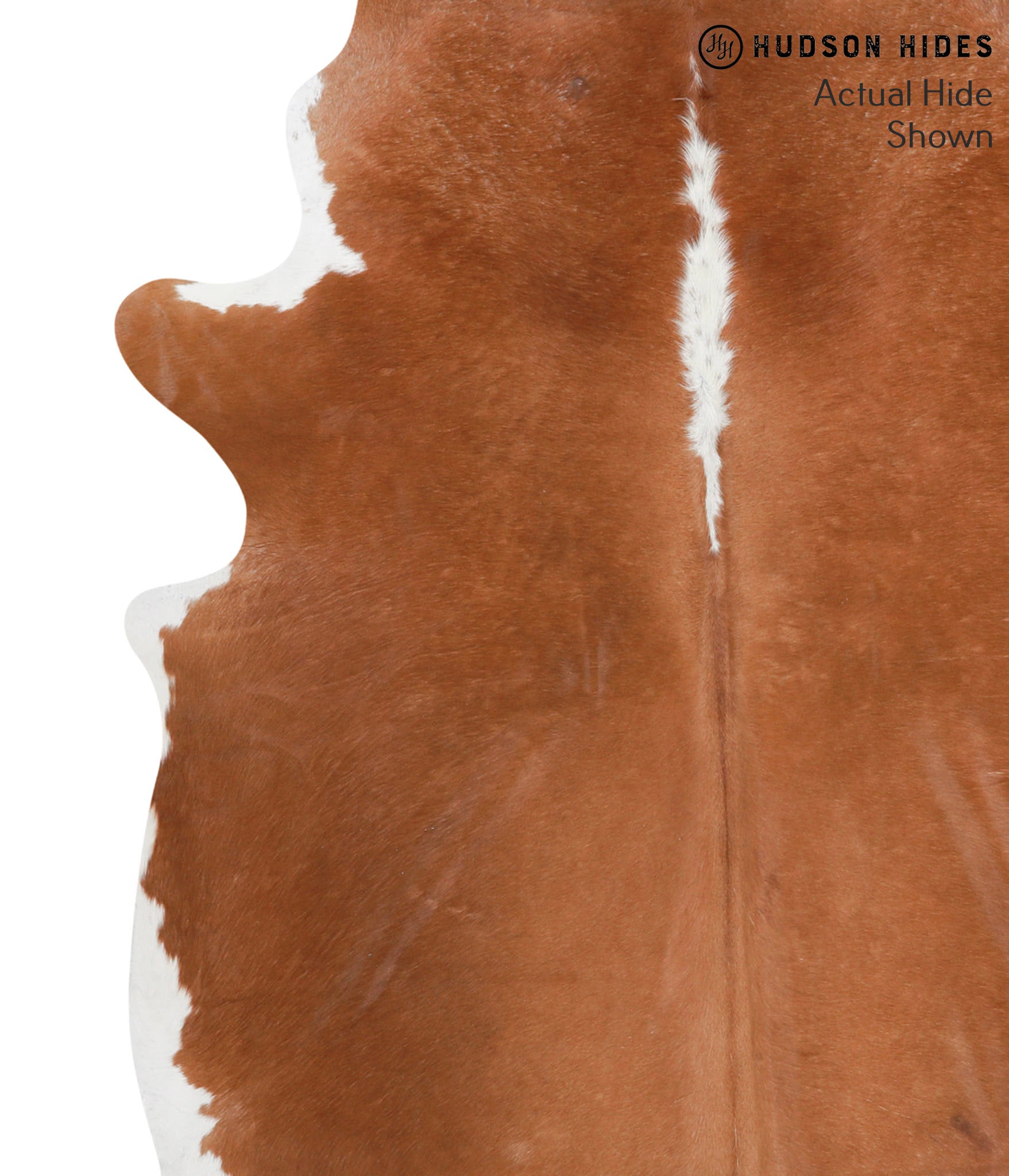 Brown and White Regular Cowhide Rug #39230
