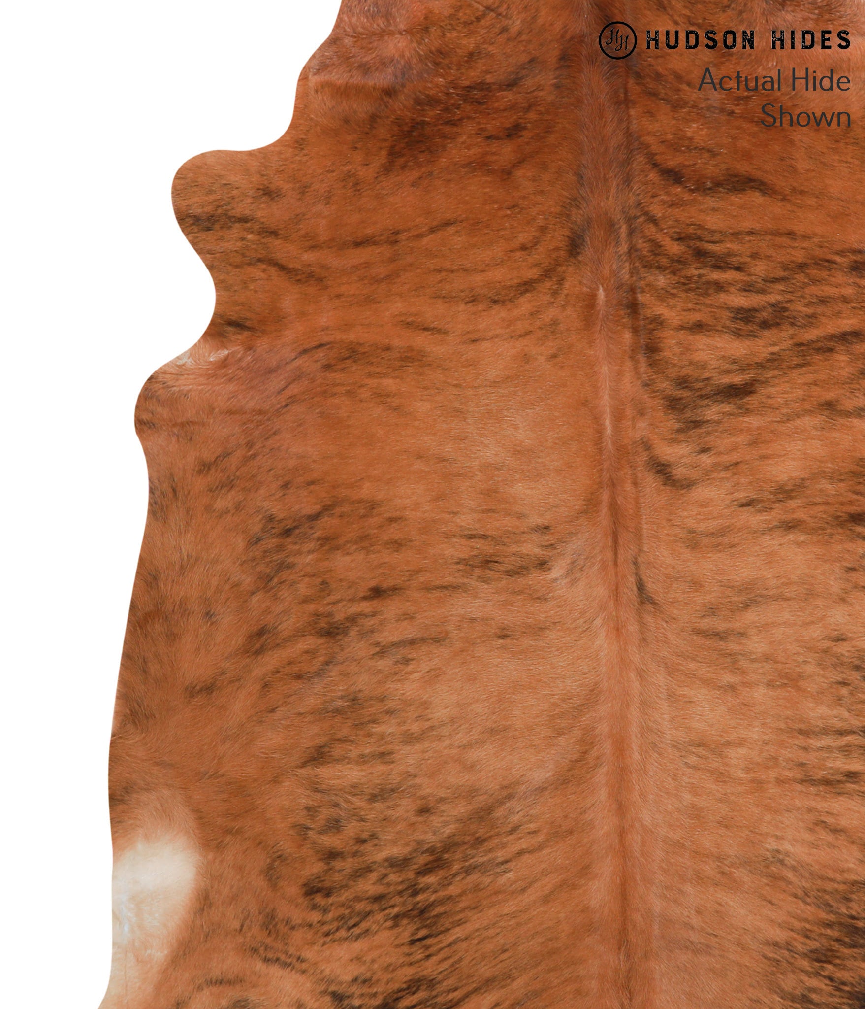 Medium Brindle Cowhide Rug #39249