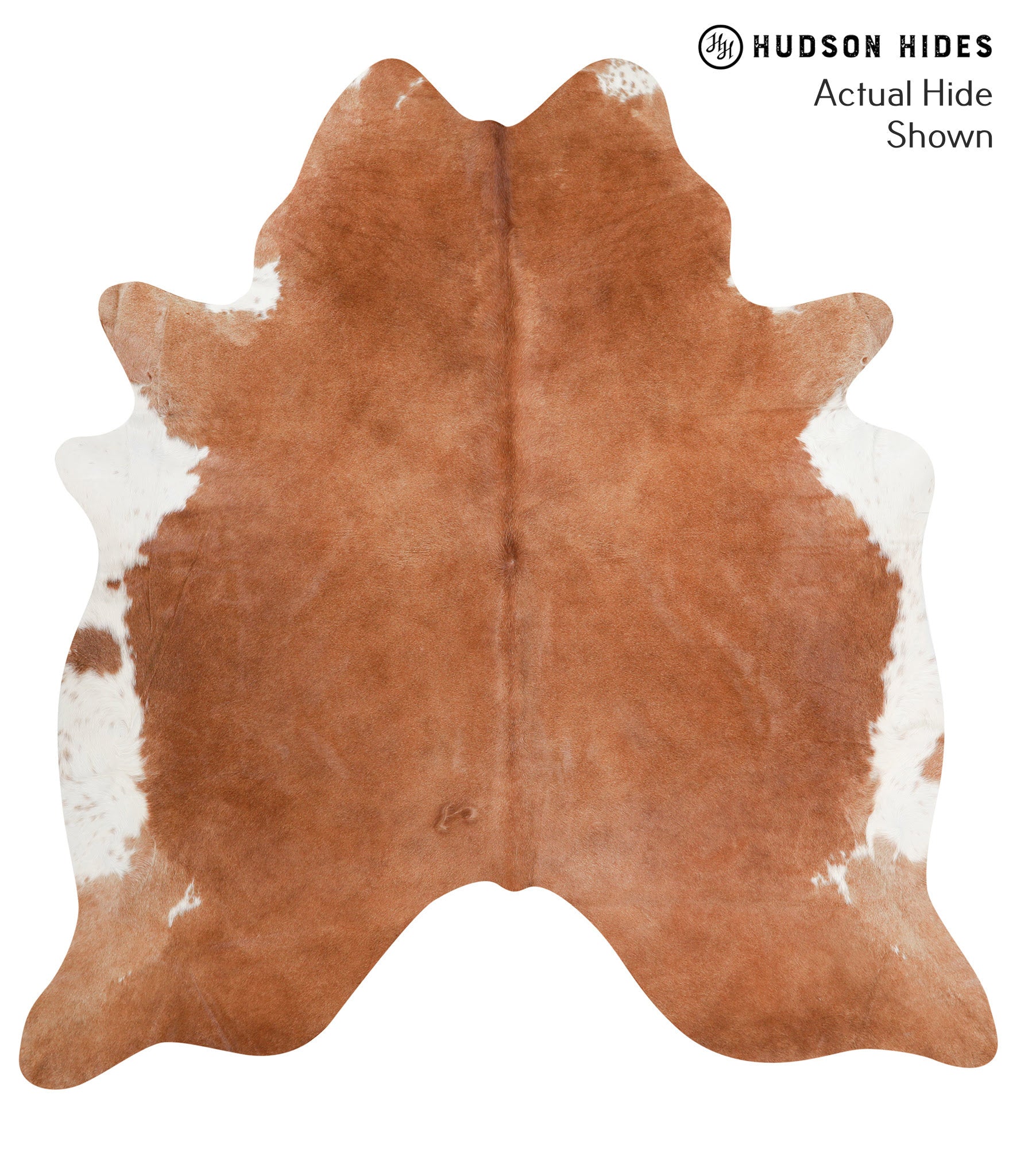 Brown and White Regular Cowhide Rug #39275