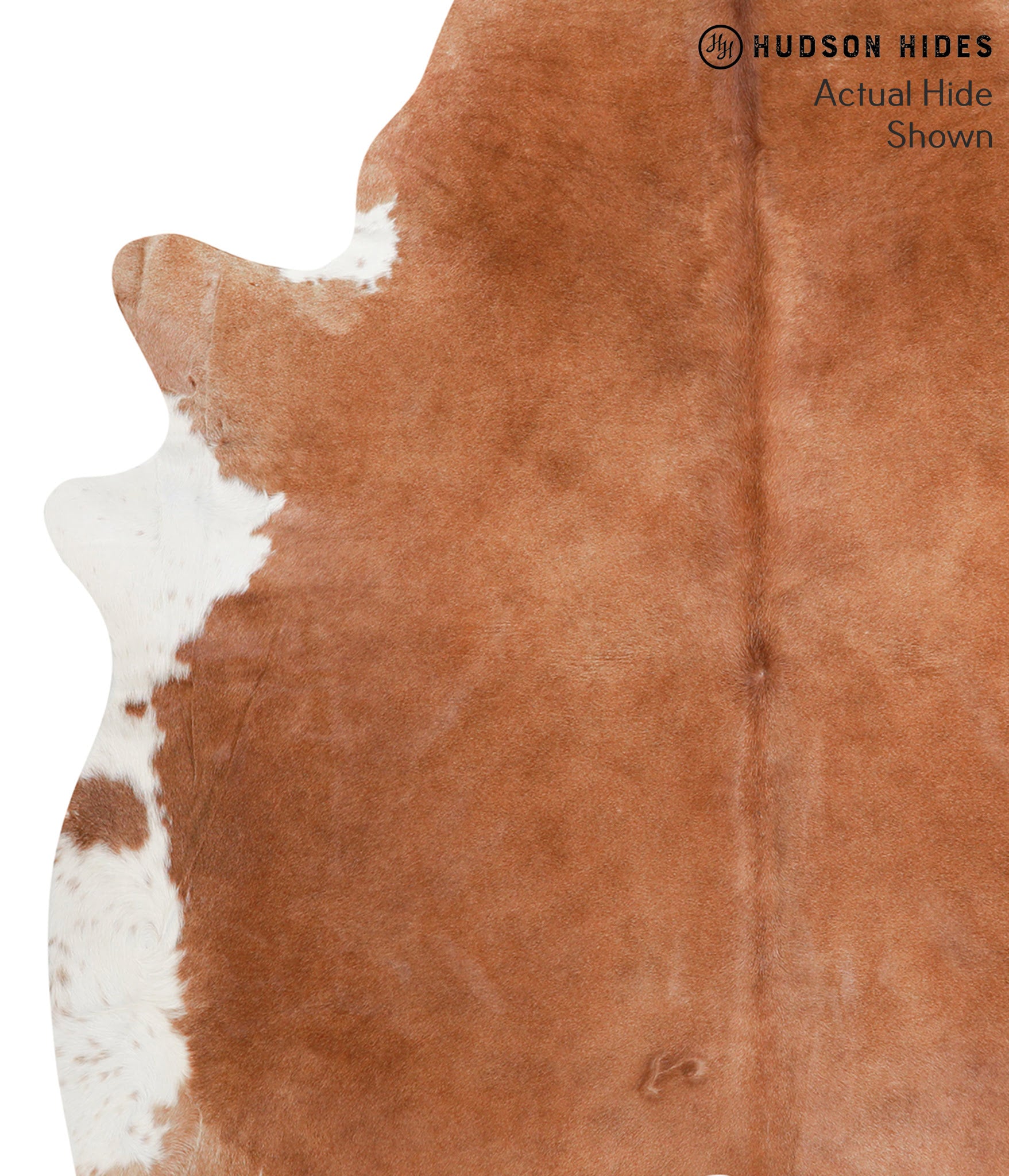 Brown and White Regular Cowhide Rug #39275