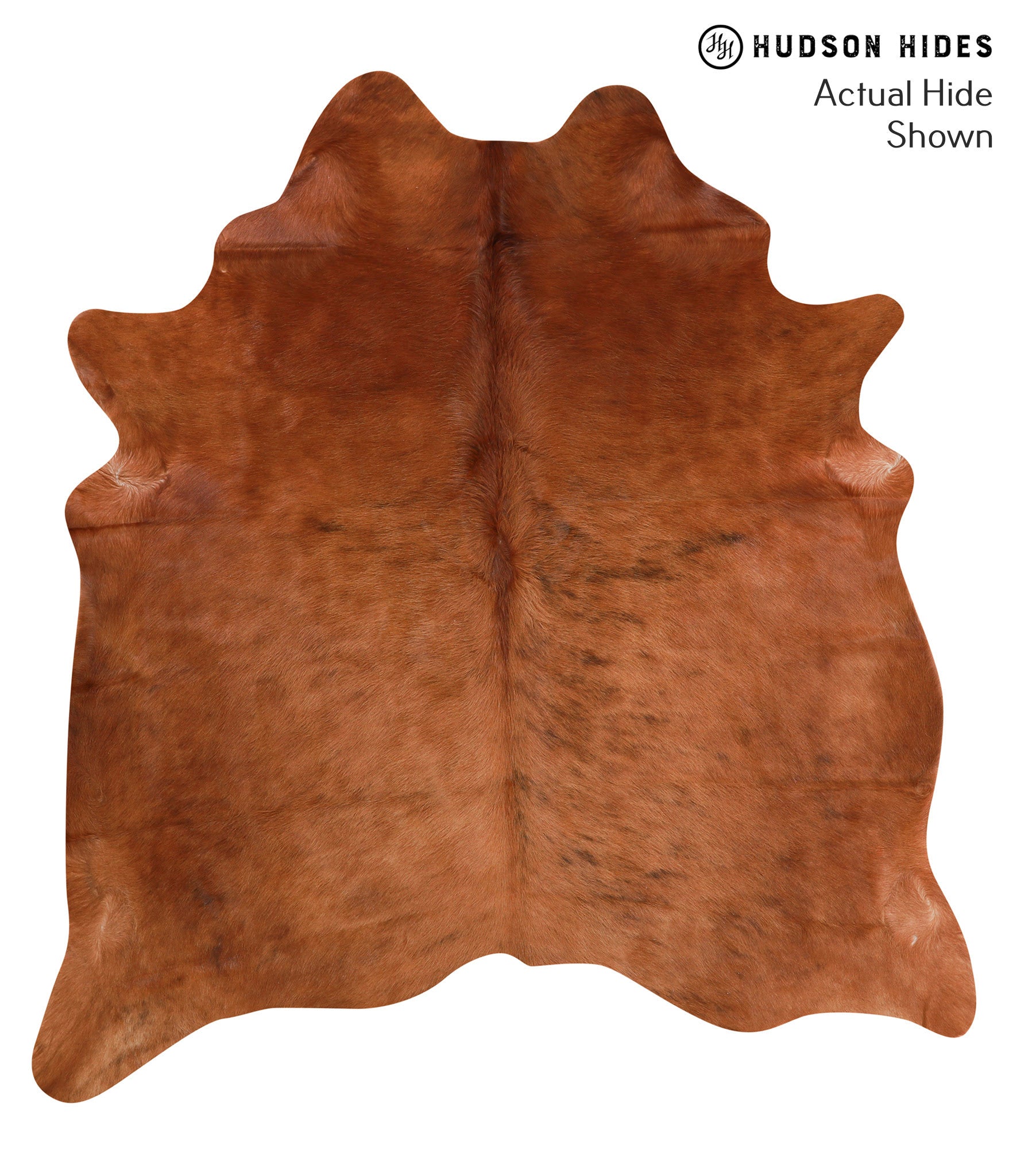 Solid Brown Cowhide Rug #39289
