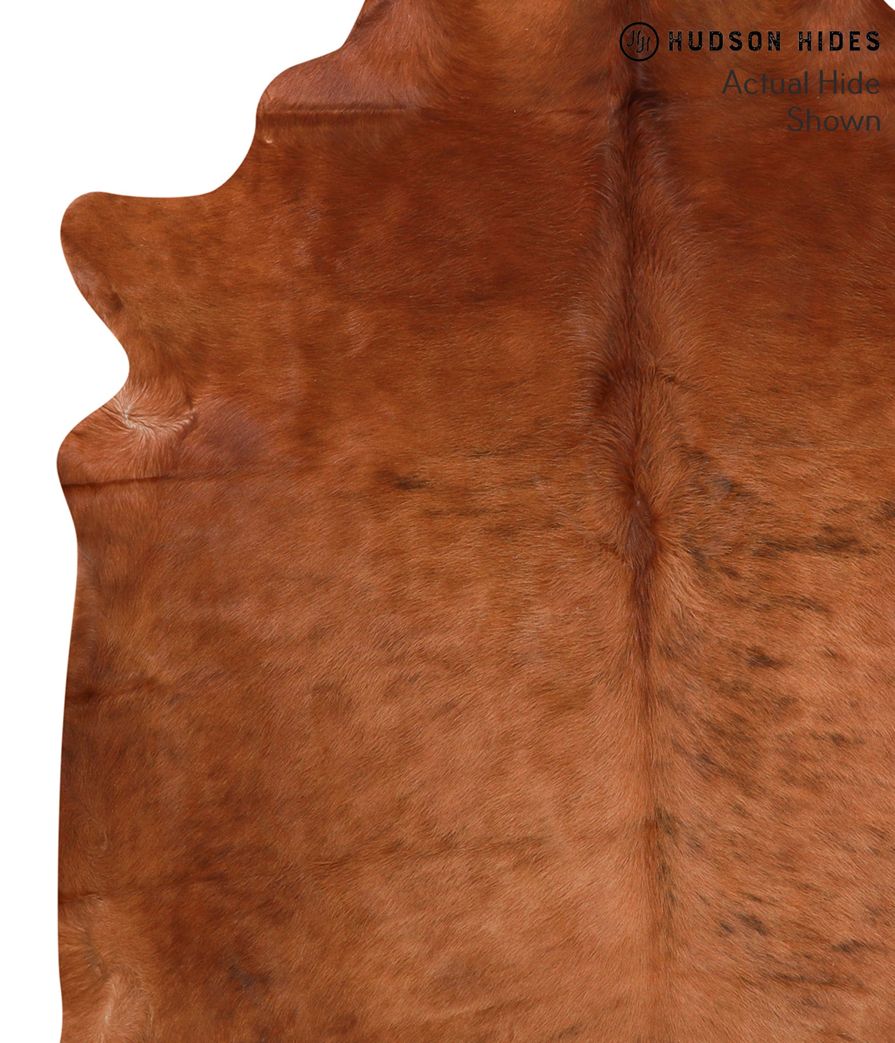 Solid Brown Cowhide Rug #39289