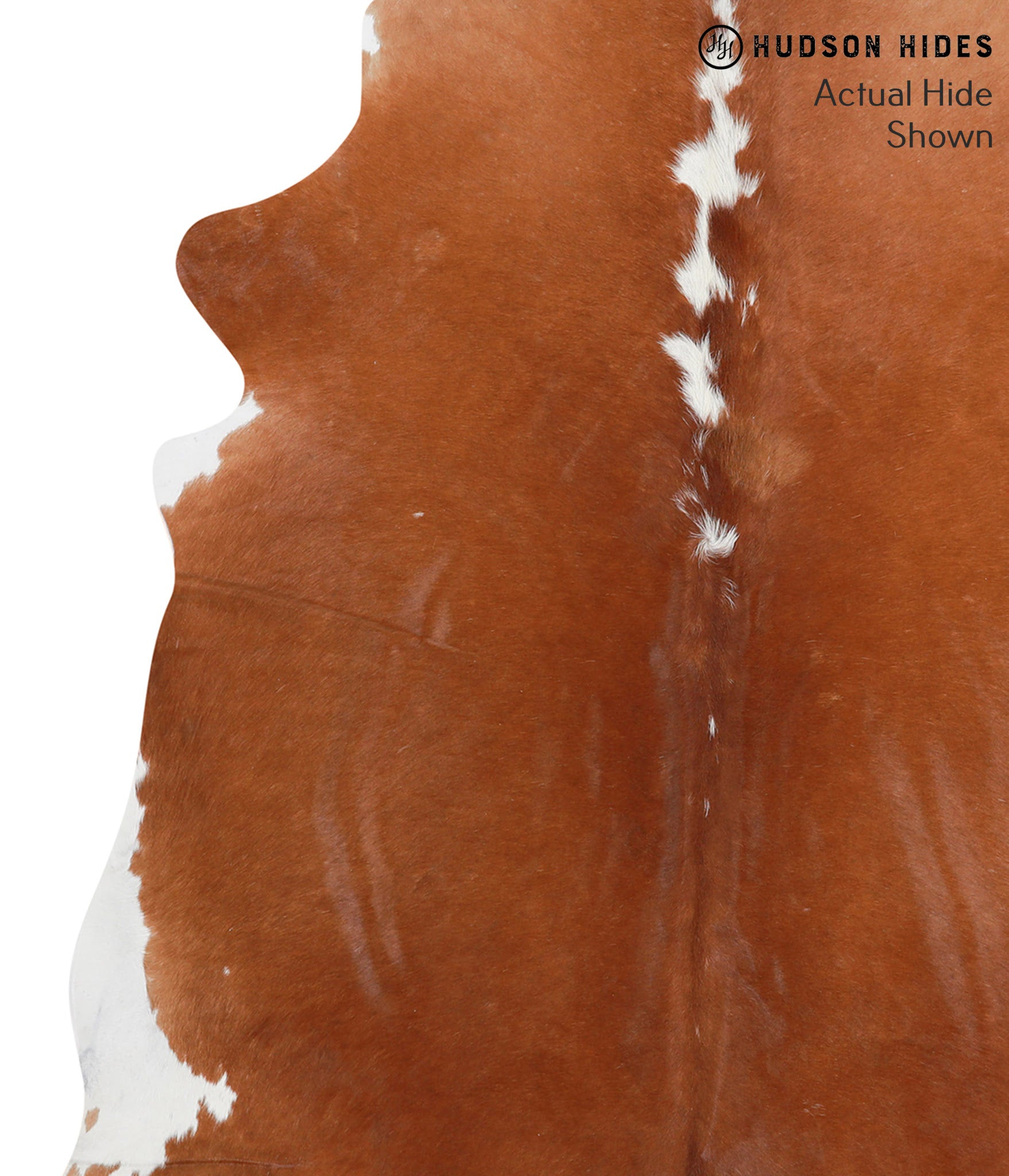 Brown and White Regular Cowhide Rug #39295