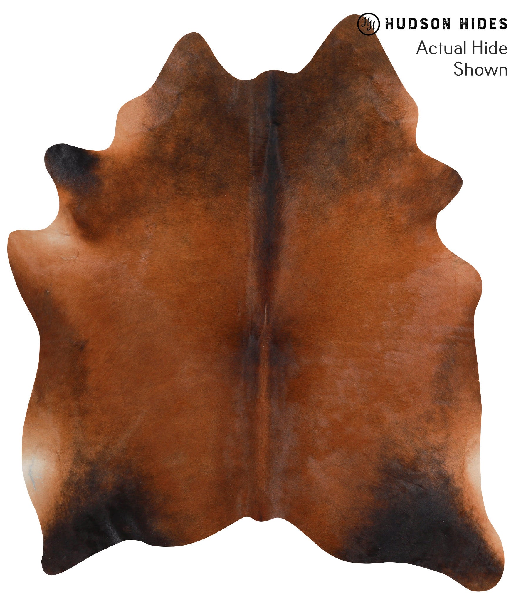 Brown with Red Cowhide Rug #39344