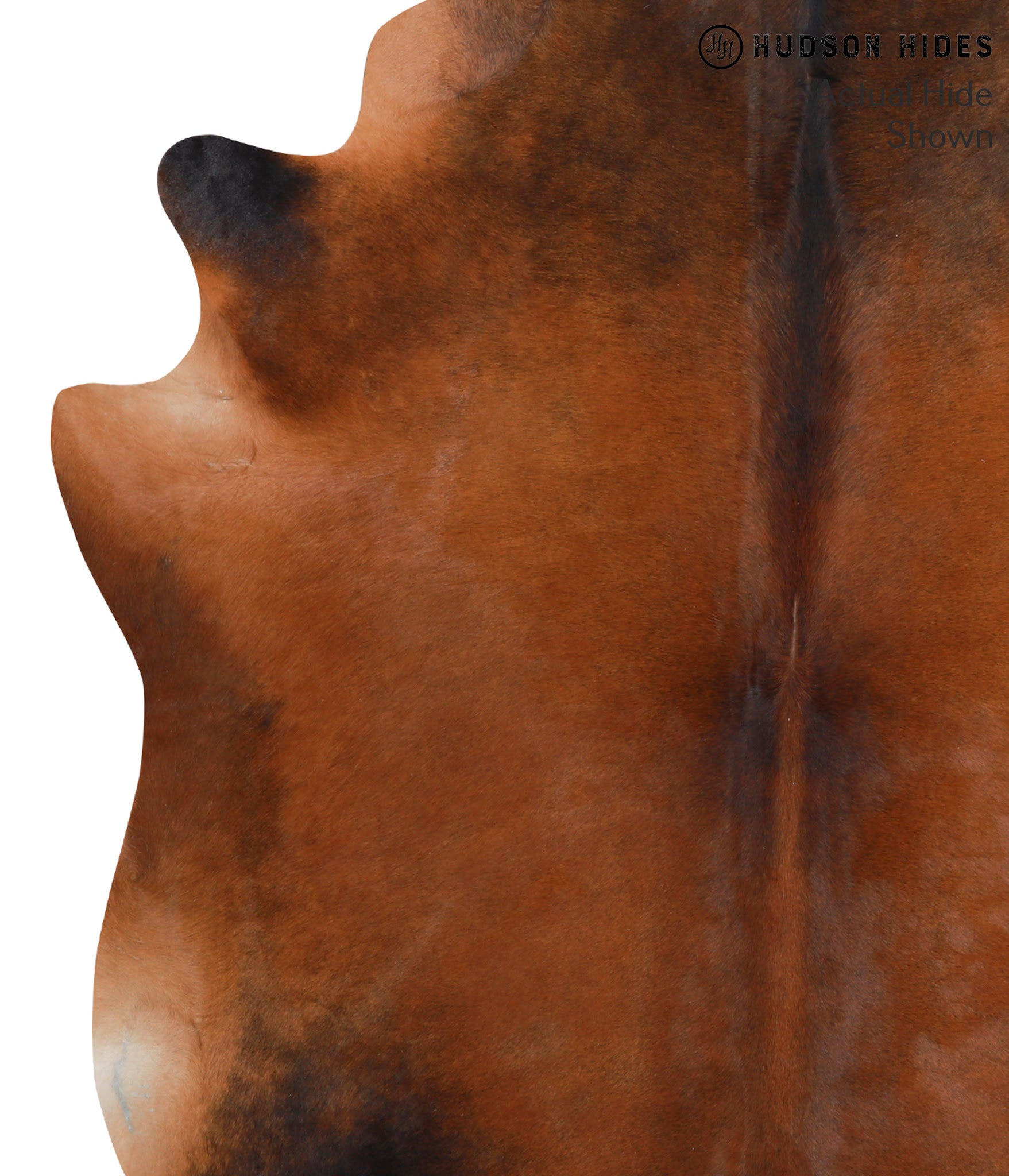 Brown with Red Cowhide Rug #39344