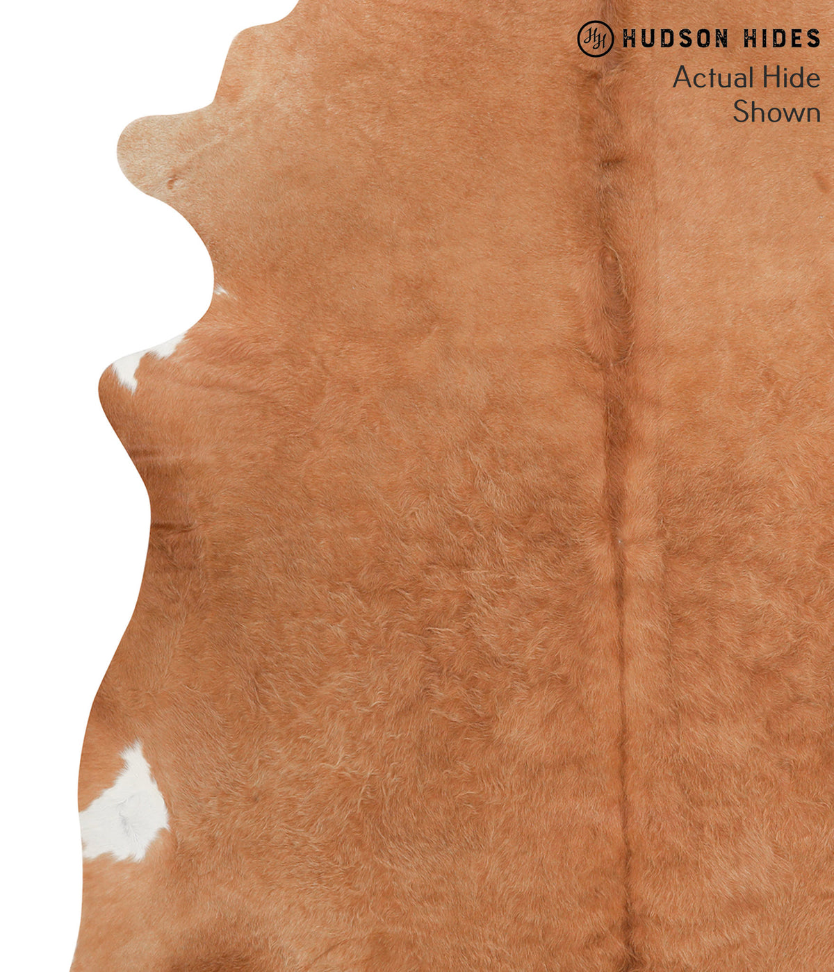Solid Brown X-Large Brazilian Cowhide Rug 6'10"H x 6'3"W #39350 by Hudson Hides