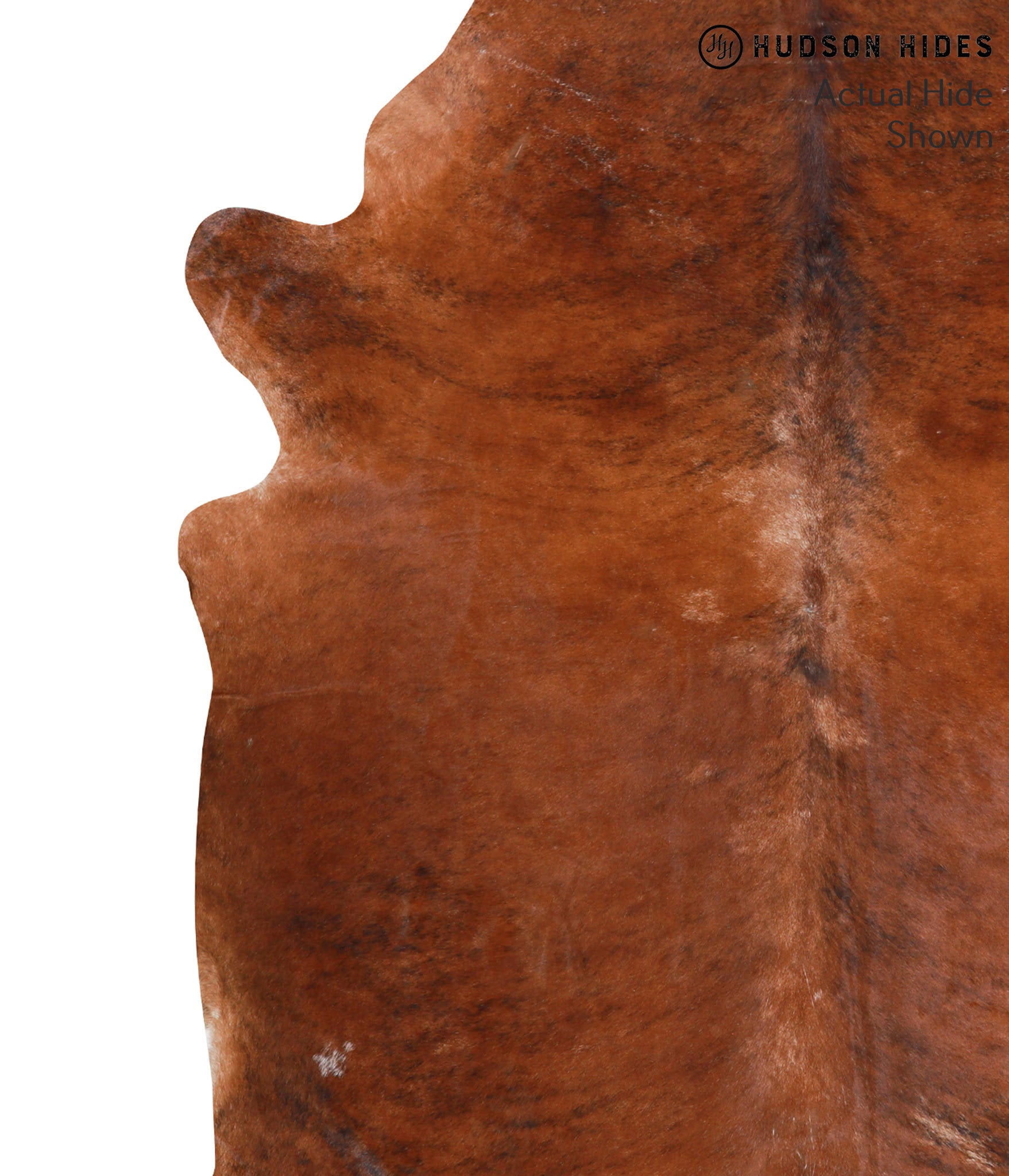 Medium Brindle Cowhide Rug #39427