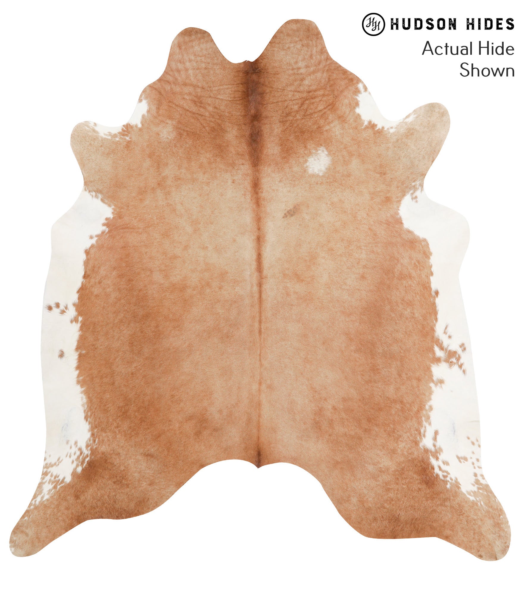 Brown and White Regular Cowhide Rug #39448