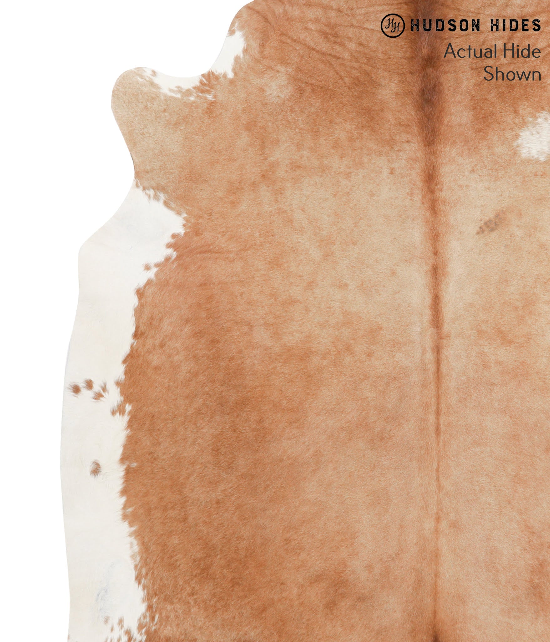 Brown and White Regular Cowhide Rug #39448
