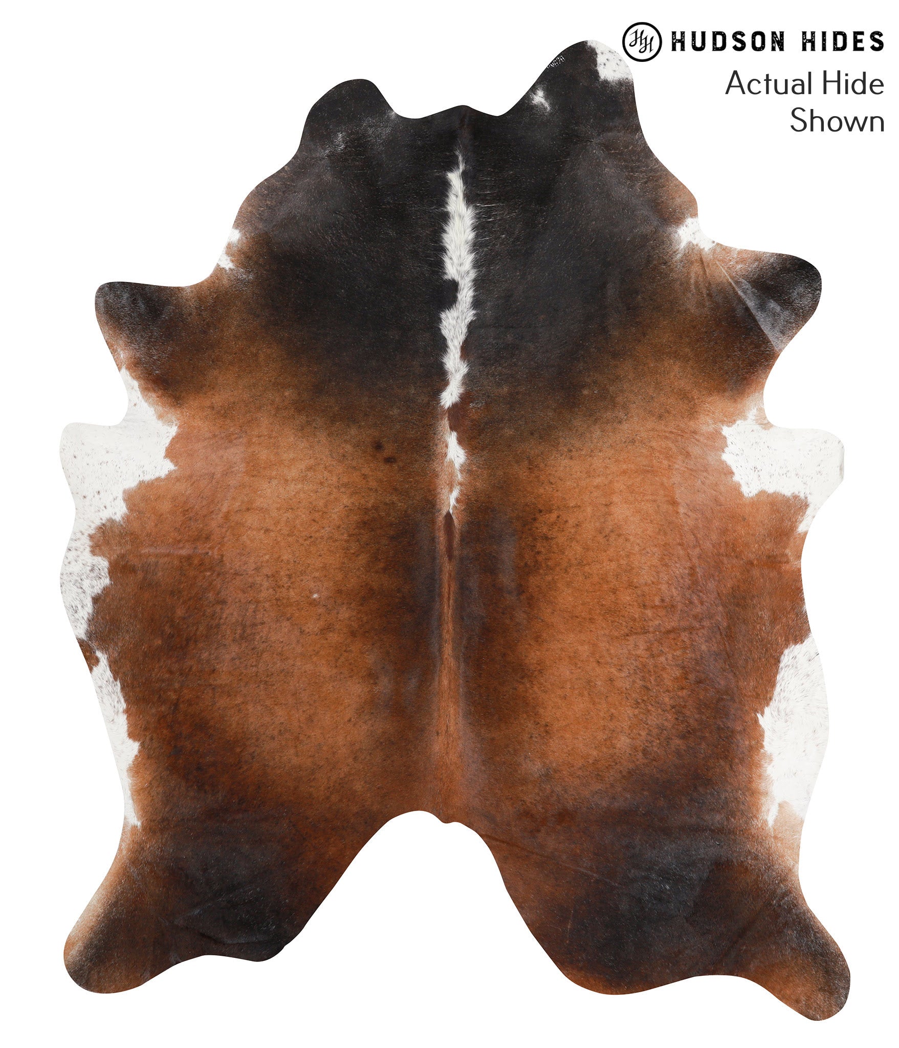 Brown with Red Cowhide Rug #39450