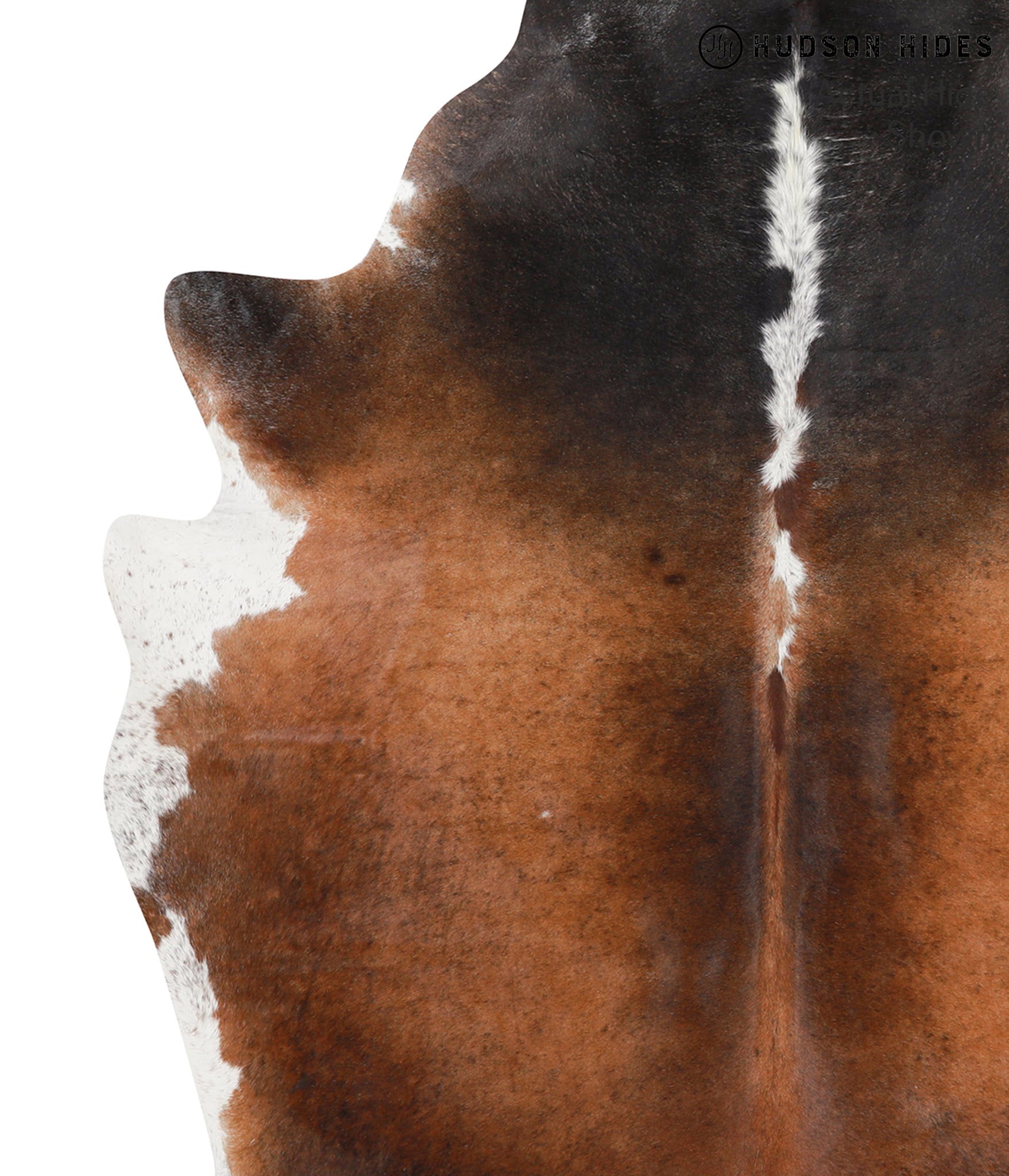 Brown with Red Cowhide Rug #39450