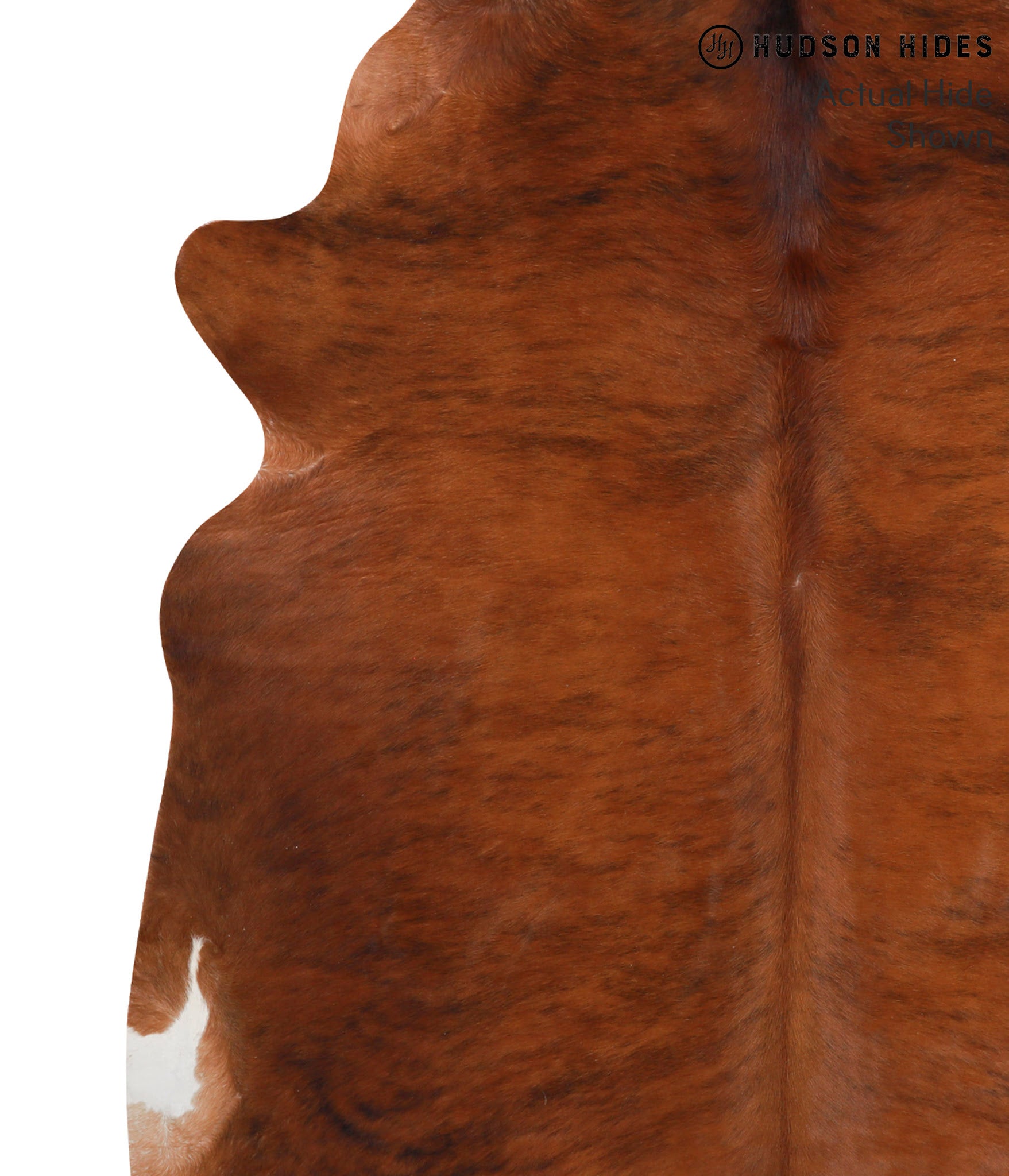 Medium Brindle Cowhide Rug #39455