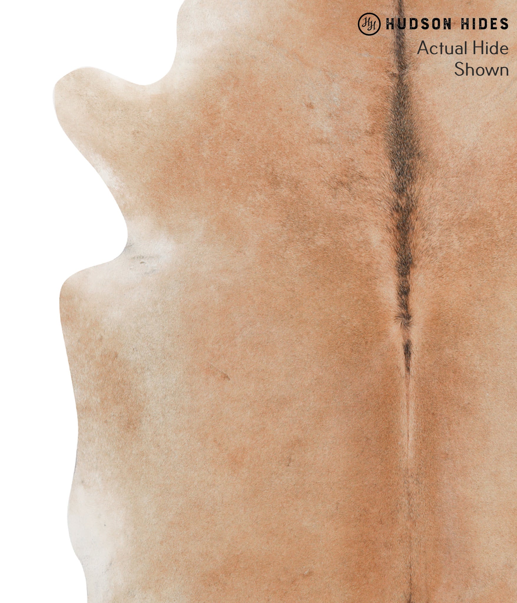 Caramel Cowhide Rug #39479