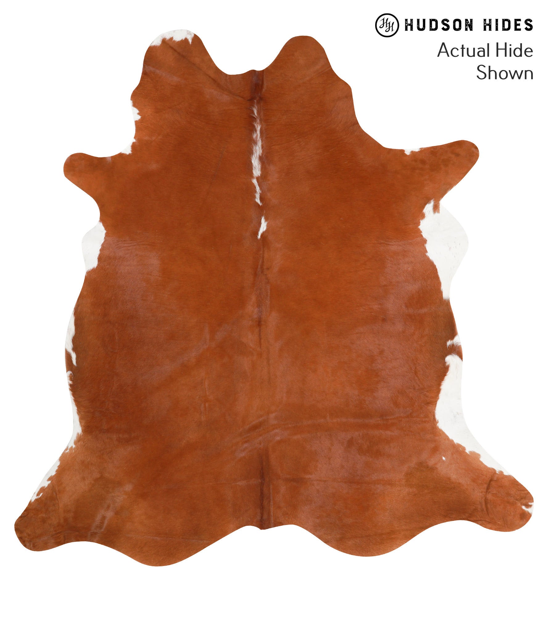 Brown and White Regular Cowhide Rug #39488